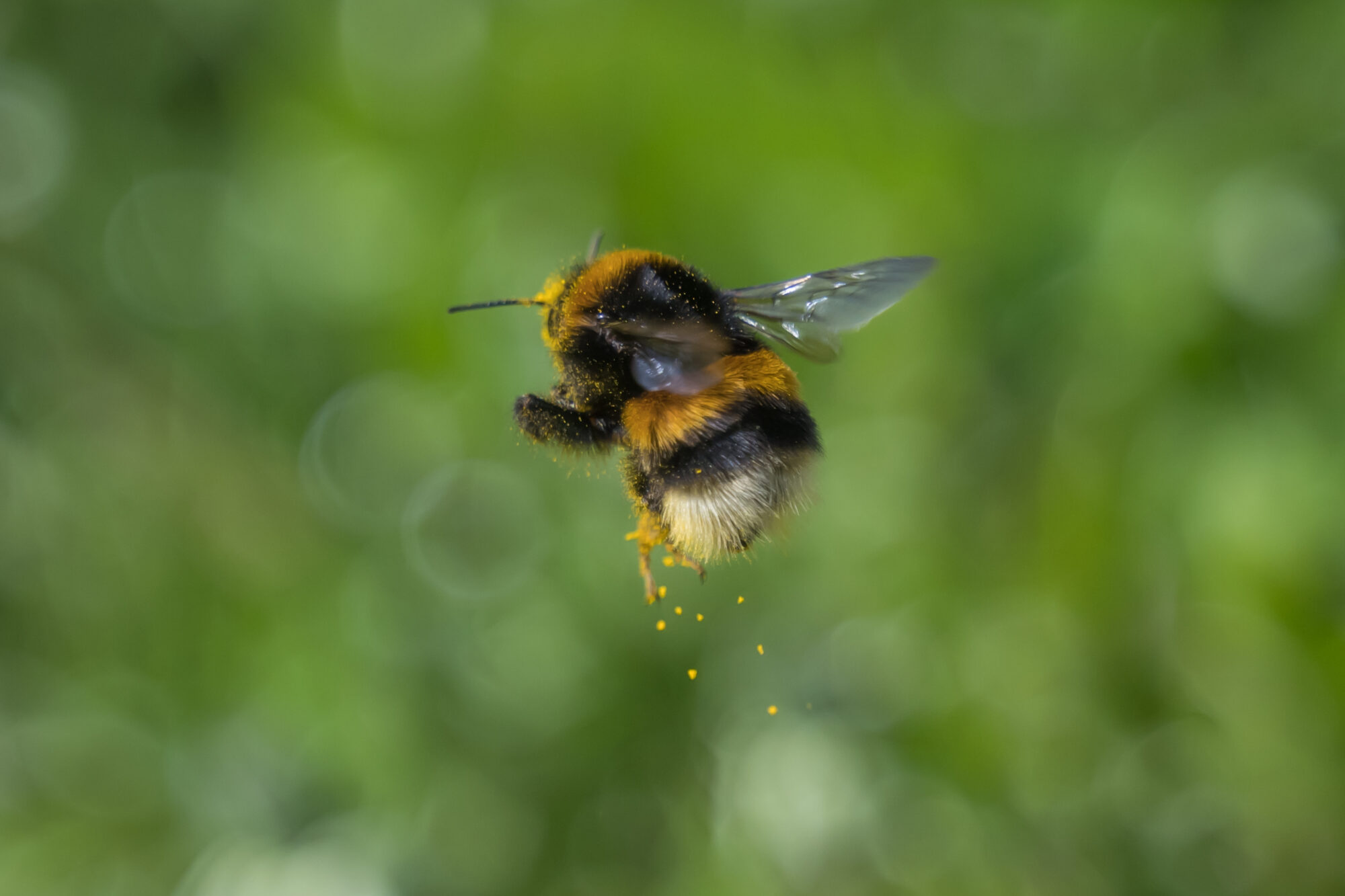 Valokuvaaja: Markku Saarinen