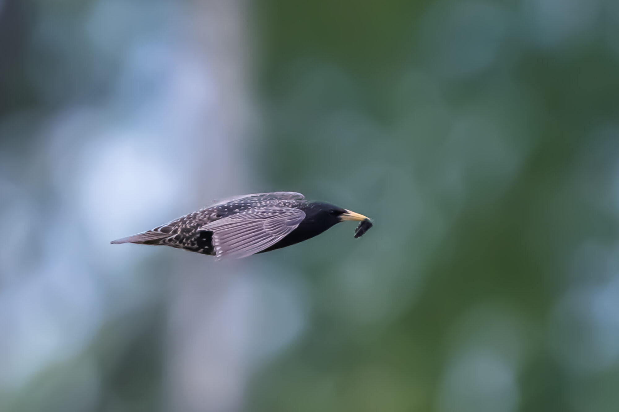 Valokuvaaja: Markku Saarinen