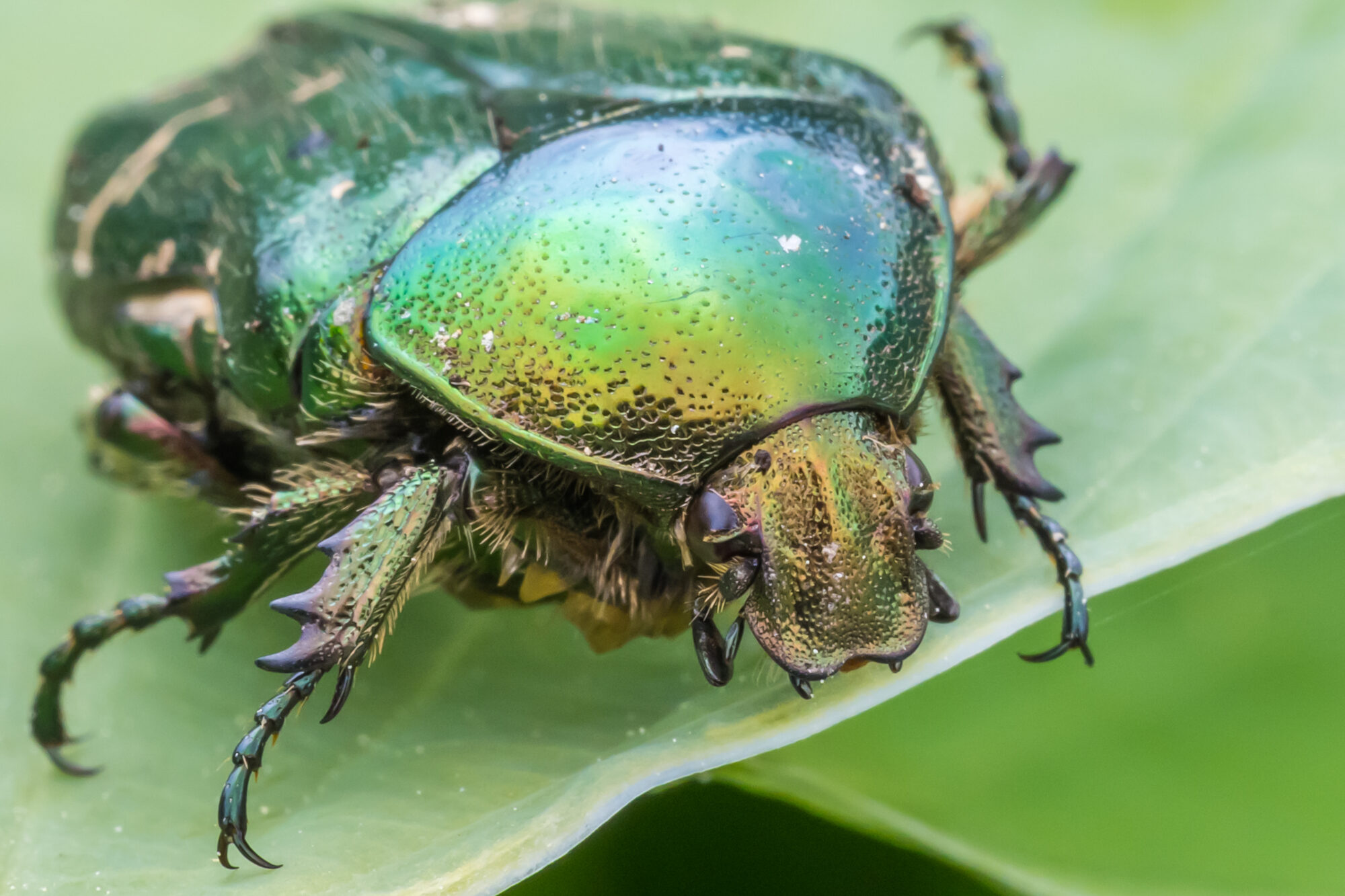 Valokuvaaja: Markku Saarinen