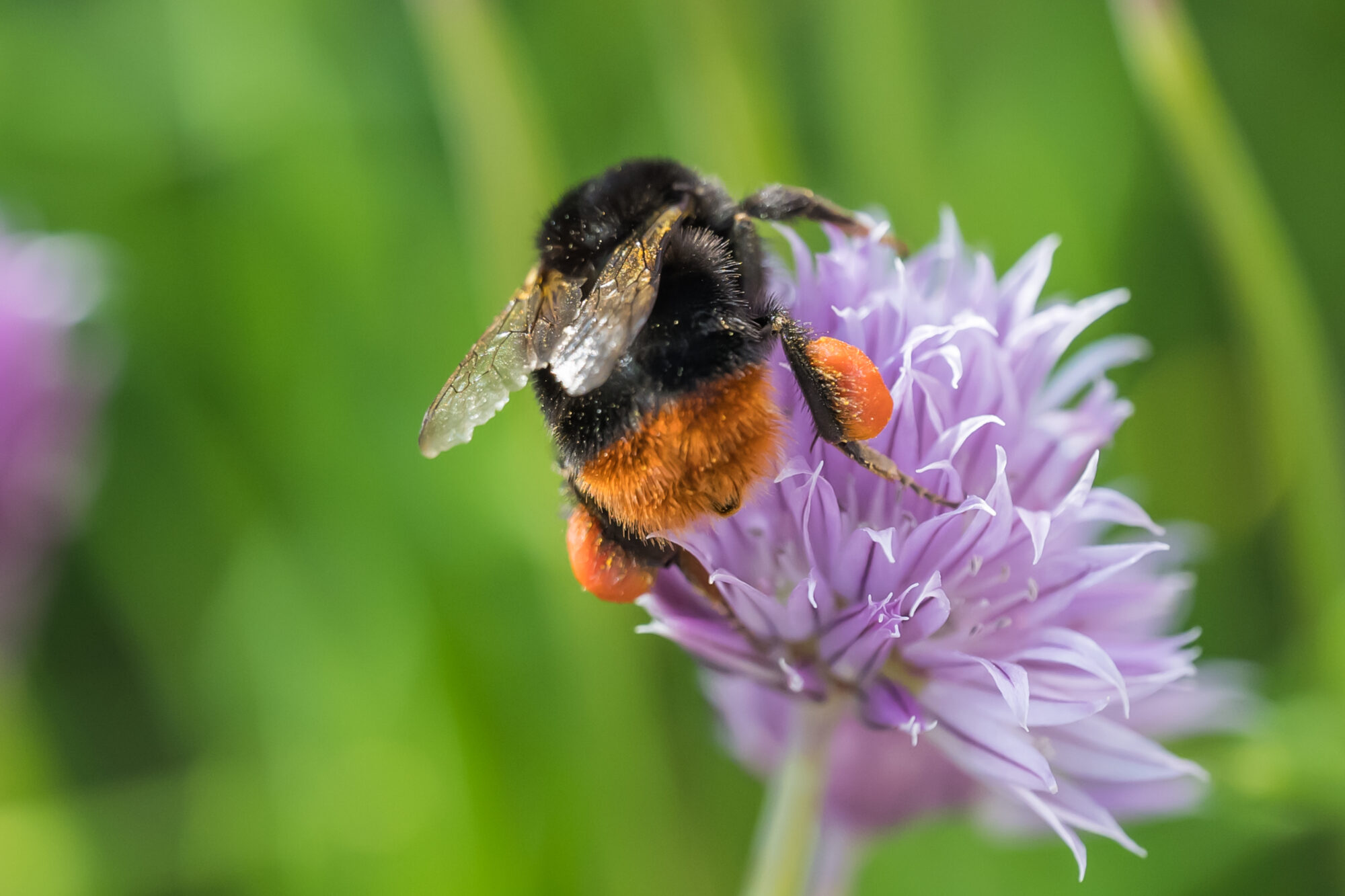 Valokuvaaja: Markku Saarinen Valokuvaaja: Markku Saarinen