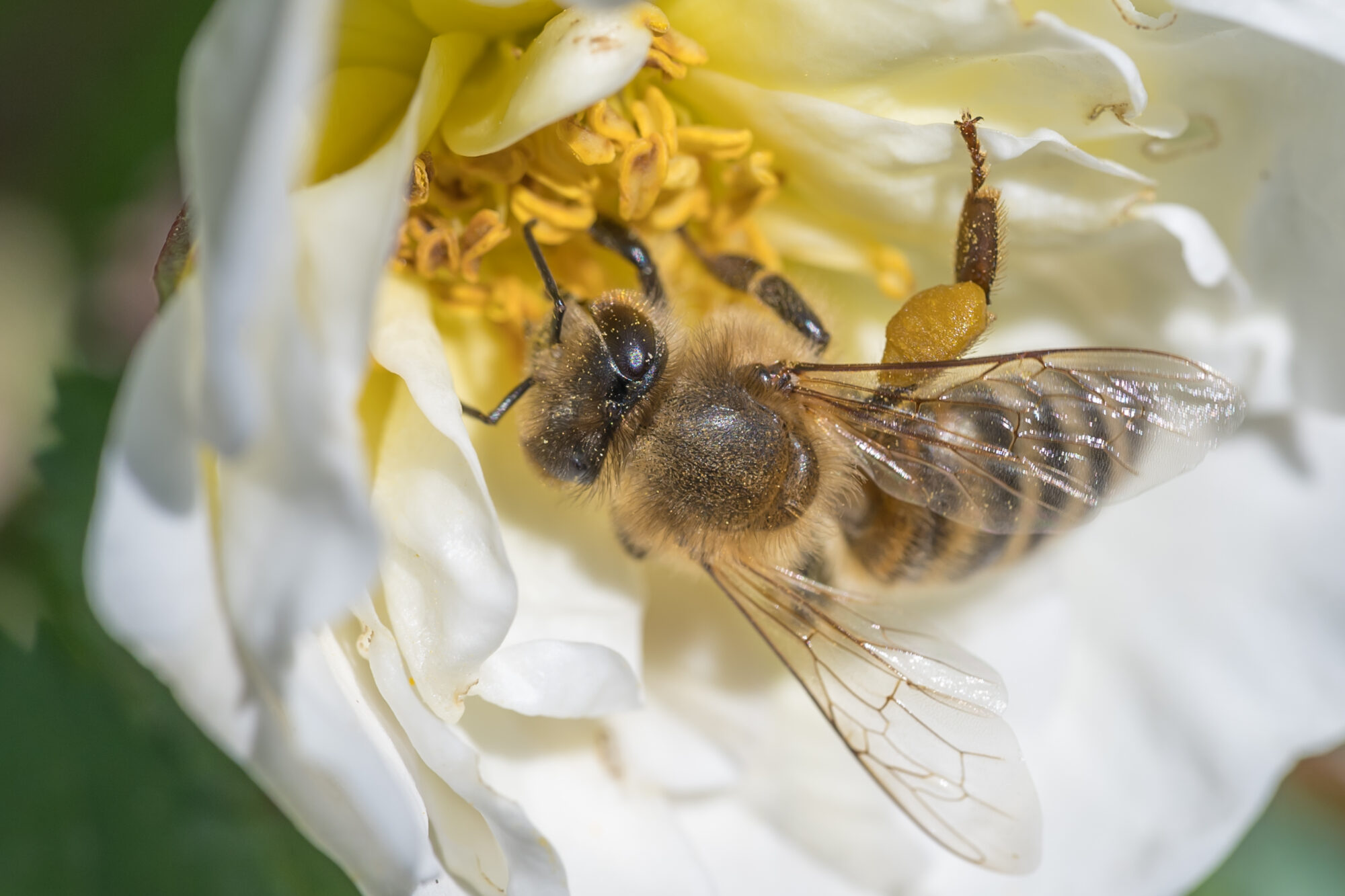 Valokuvaaja: Markku Saarinen