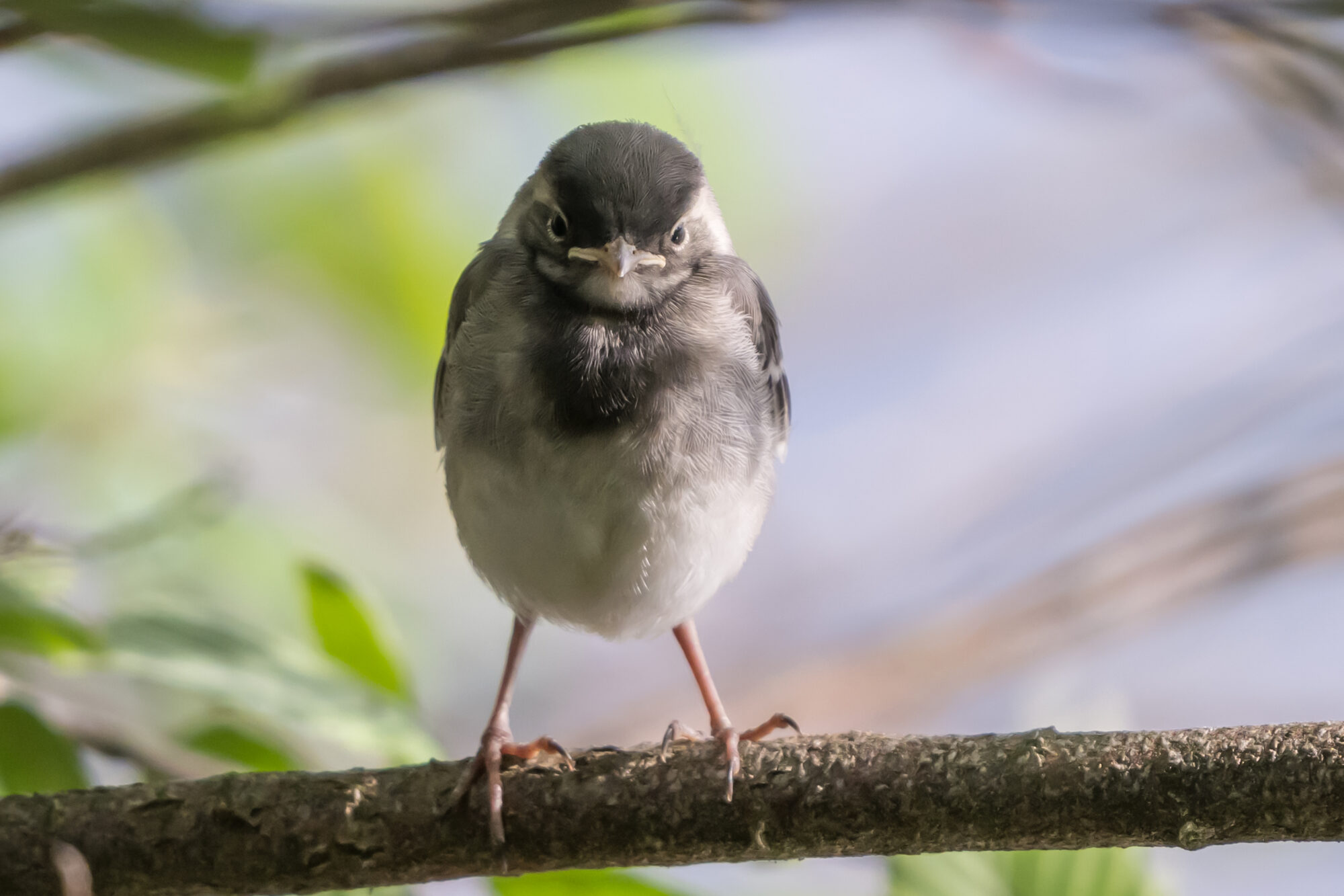 Valokuvaaja: Markku Saarinen Valokuvaaja: Markku Saarinen