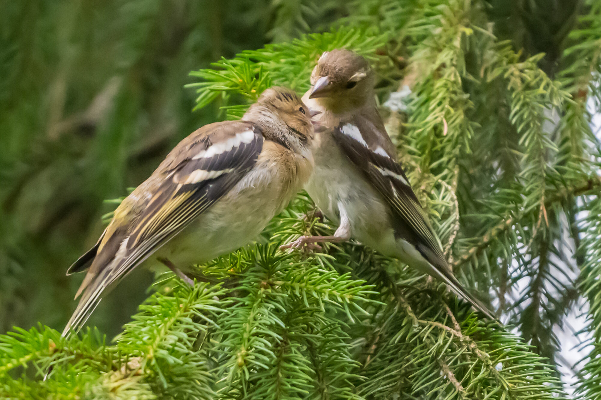 Valokuvaaja: Markku Saarinen Valokuvaaja: Markku Saarinen