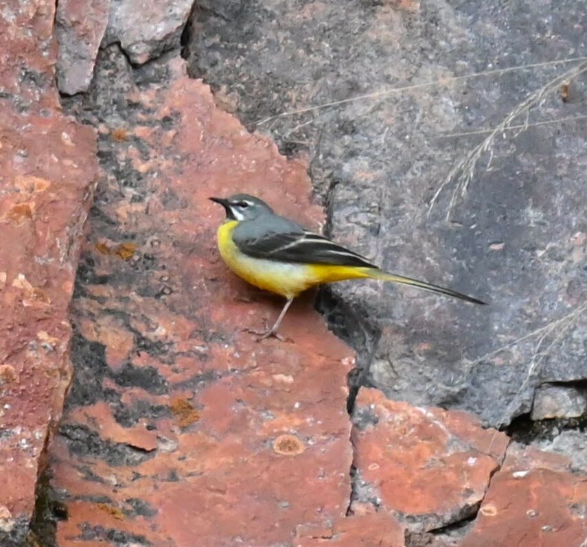 Valokuvaaja: Emilia Miettinen