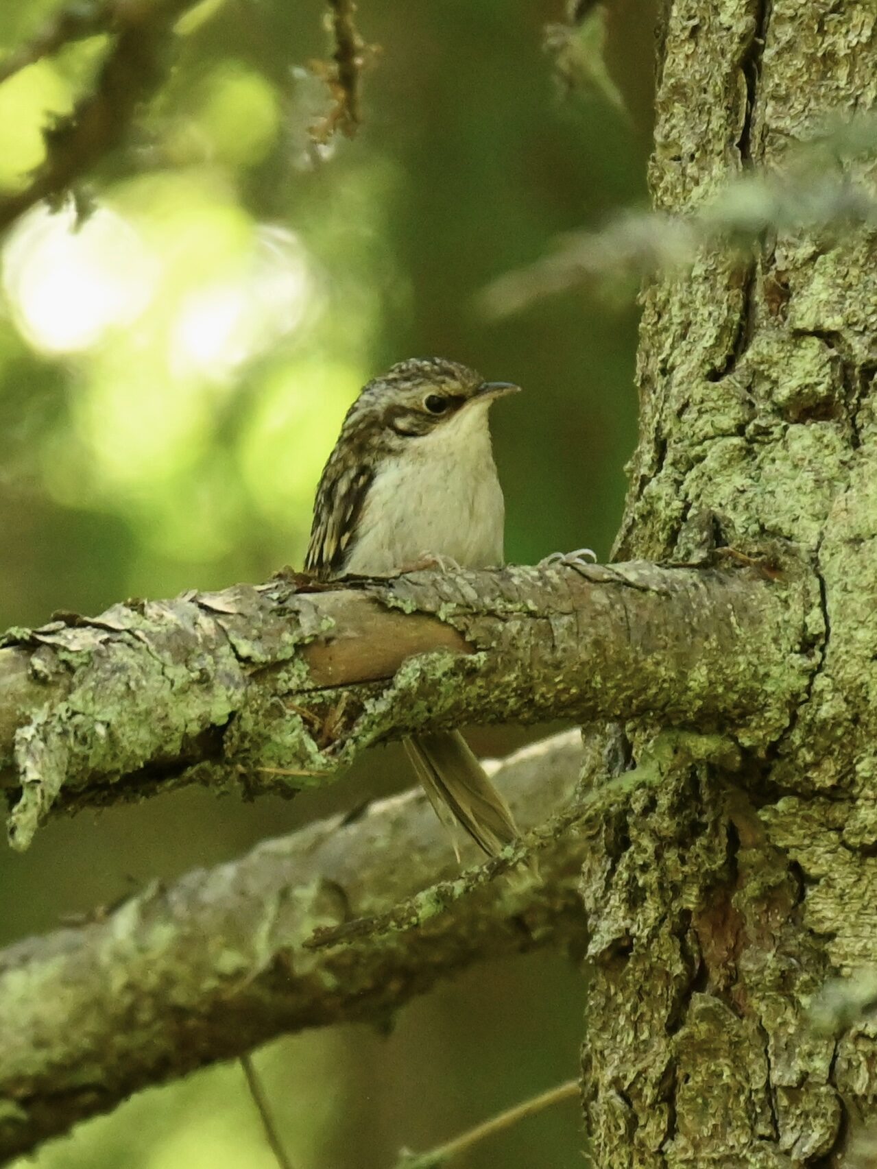 Valokuvaaja: Emilia Miettinen