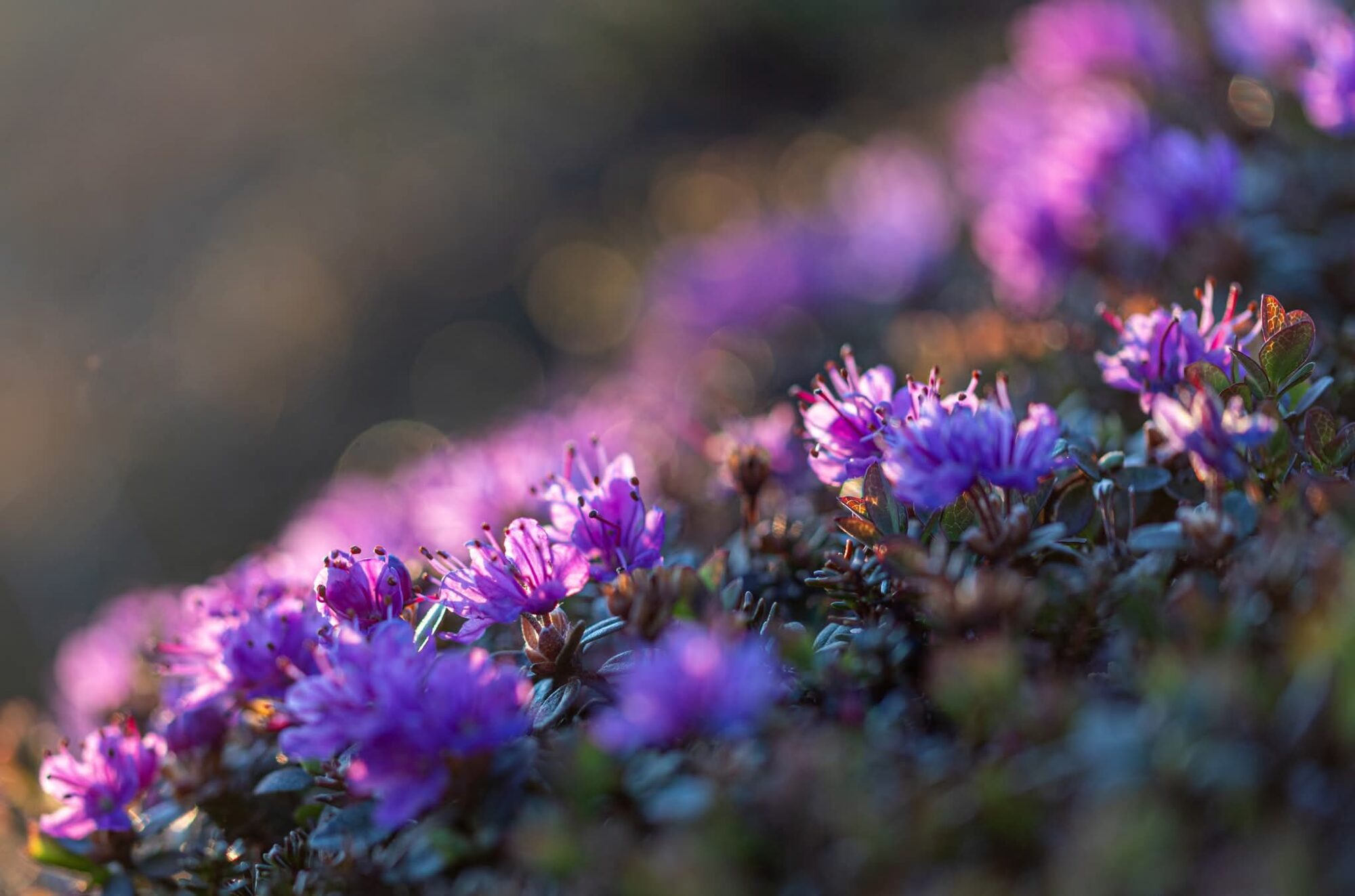 Valokuvaaja: Katri Niskanen