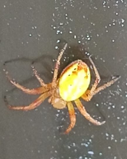 Valokuvaaja: Aku Nyyssönen Valokuvaaja: Aku Nyyssönen