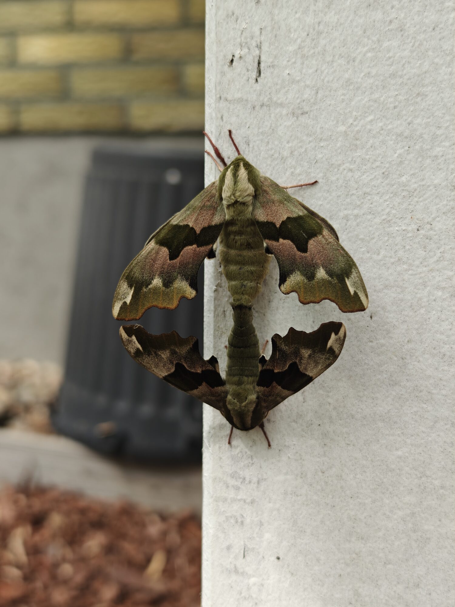 Valokuvaaja: Miia Lipsanen Valokuvaaja: Miia Lipsanen