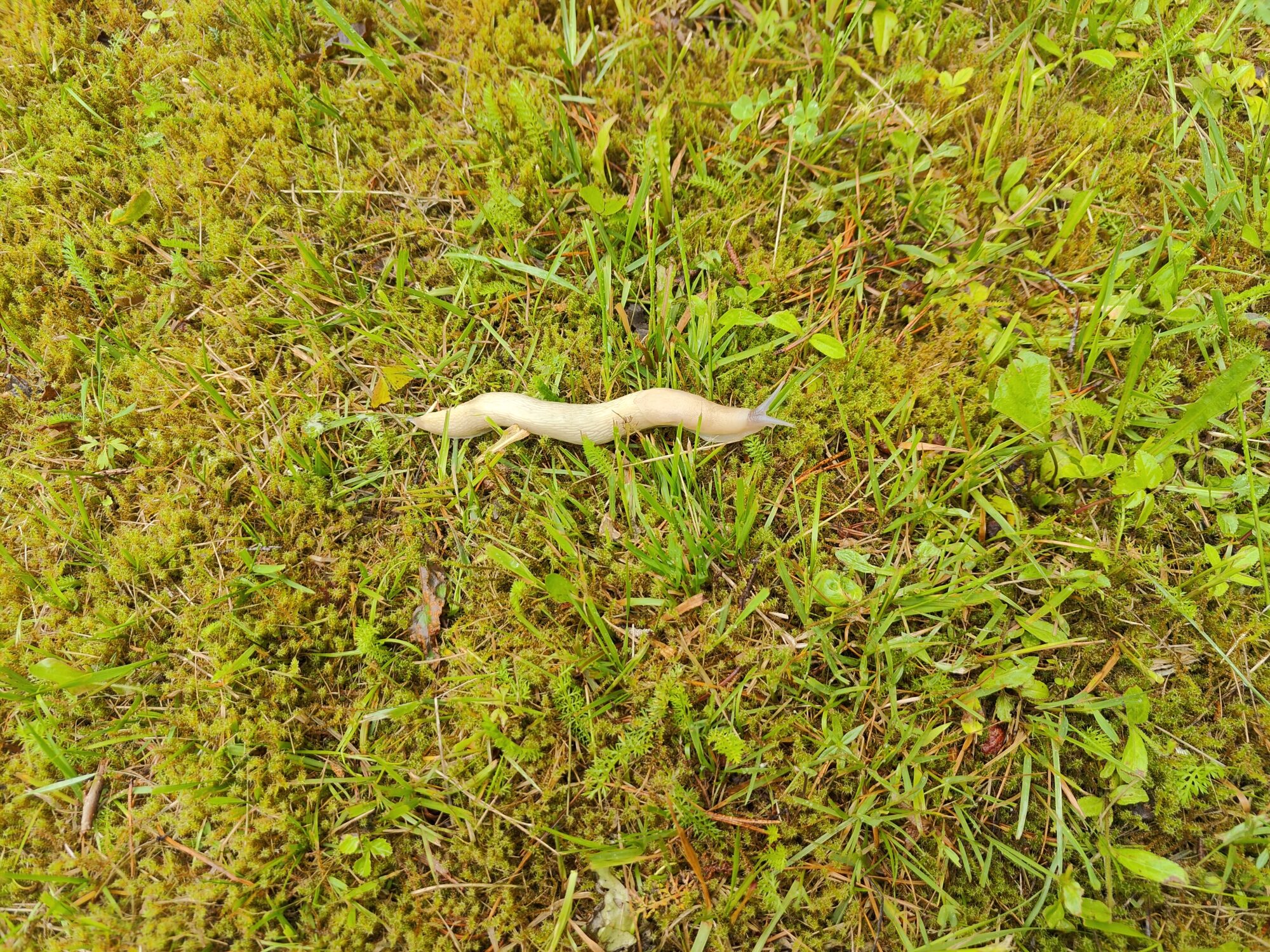 Valokuvaaja: Hannu Perkiö Valokuvaaja: Hannu Perkiö