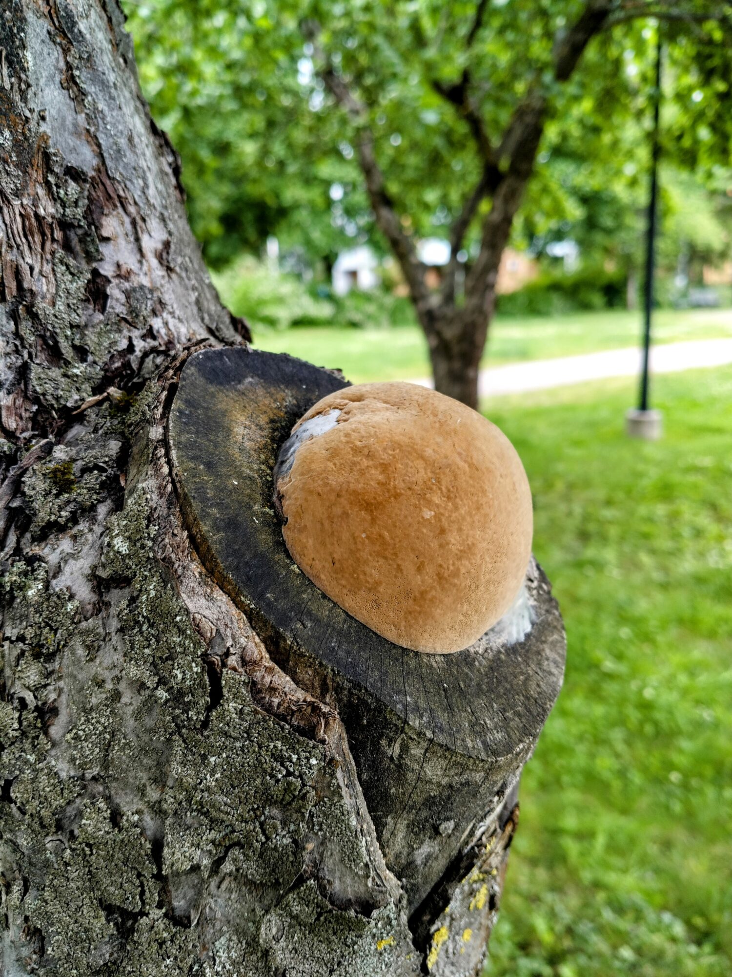 Valokuvaaja: Kaarina jo Kauppinen Valokuvaaja: Kaarina jo Kauppinen