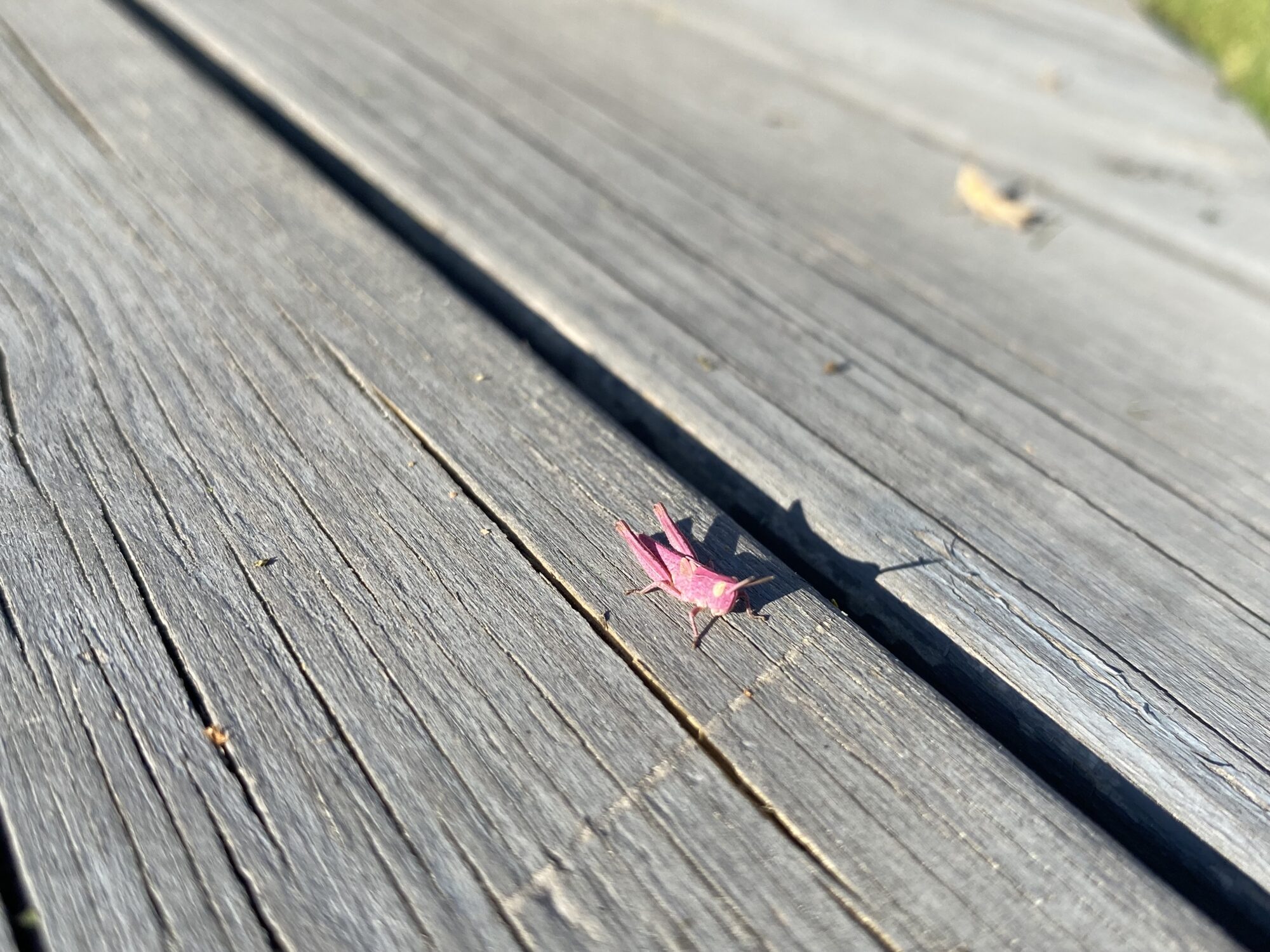 Valokuvaaja: Samuel Miettinen