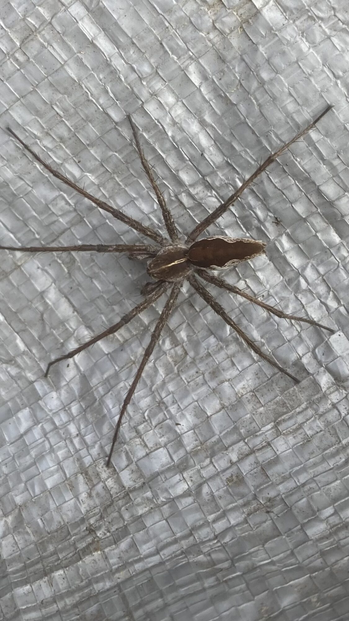 Valokuvaaja: Merja Pukki Valokuvaaja: Merja Pukki