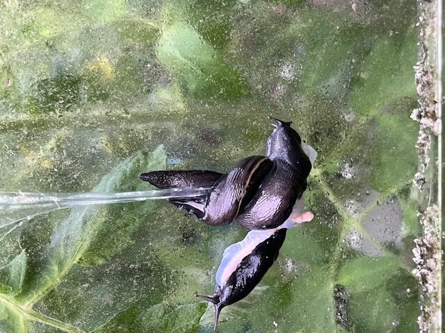 Valokuvaaja: Arja Isoaho