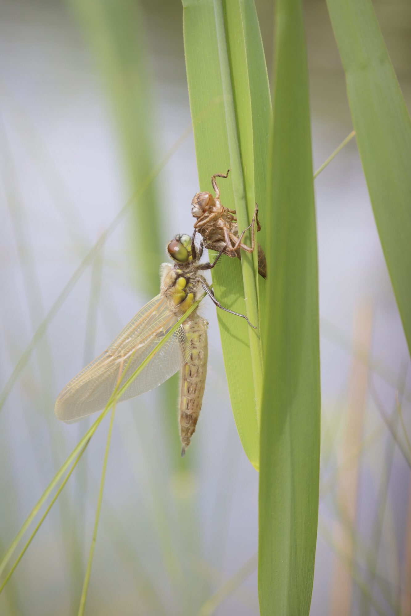 Valokuvaaja: Jutta Lehmusvuori Valokuvaaja: Jutta Lehmusvuori