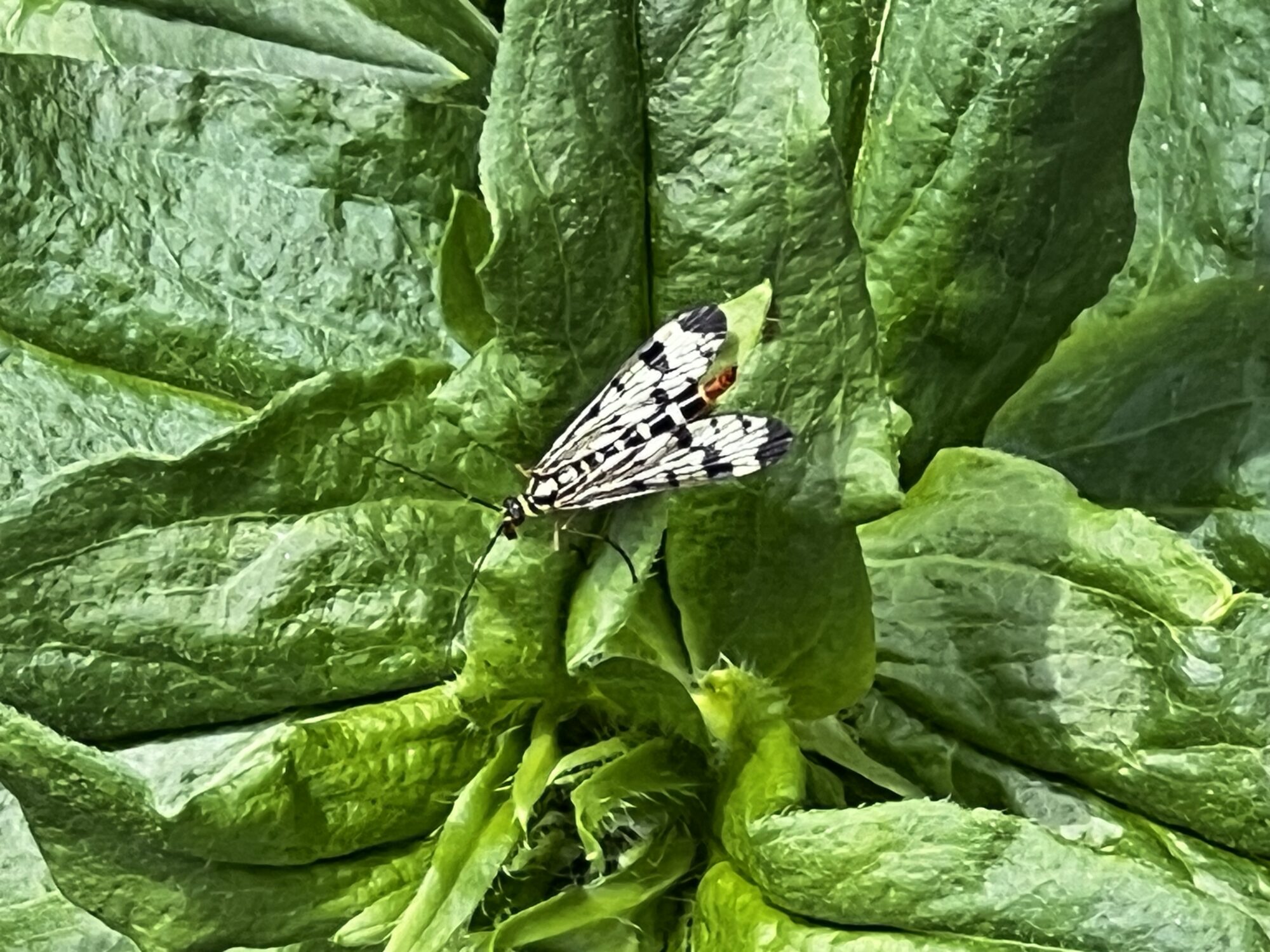 Valokuvaaja: Esa Korkalainen