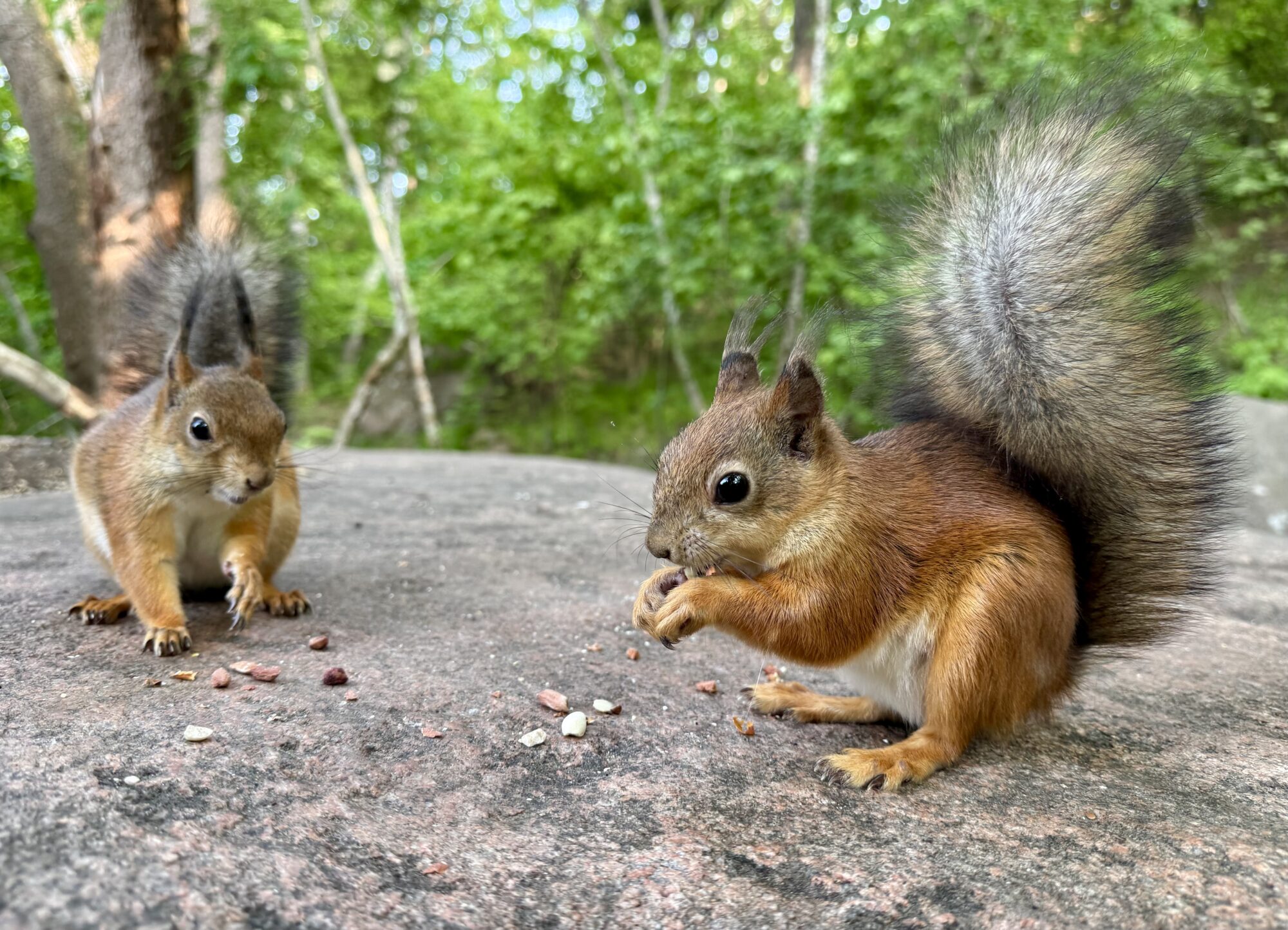 Valokuvaaja: Juhani Peltonen