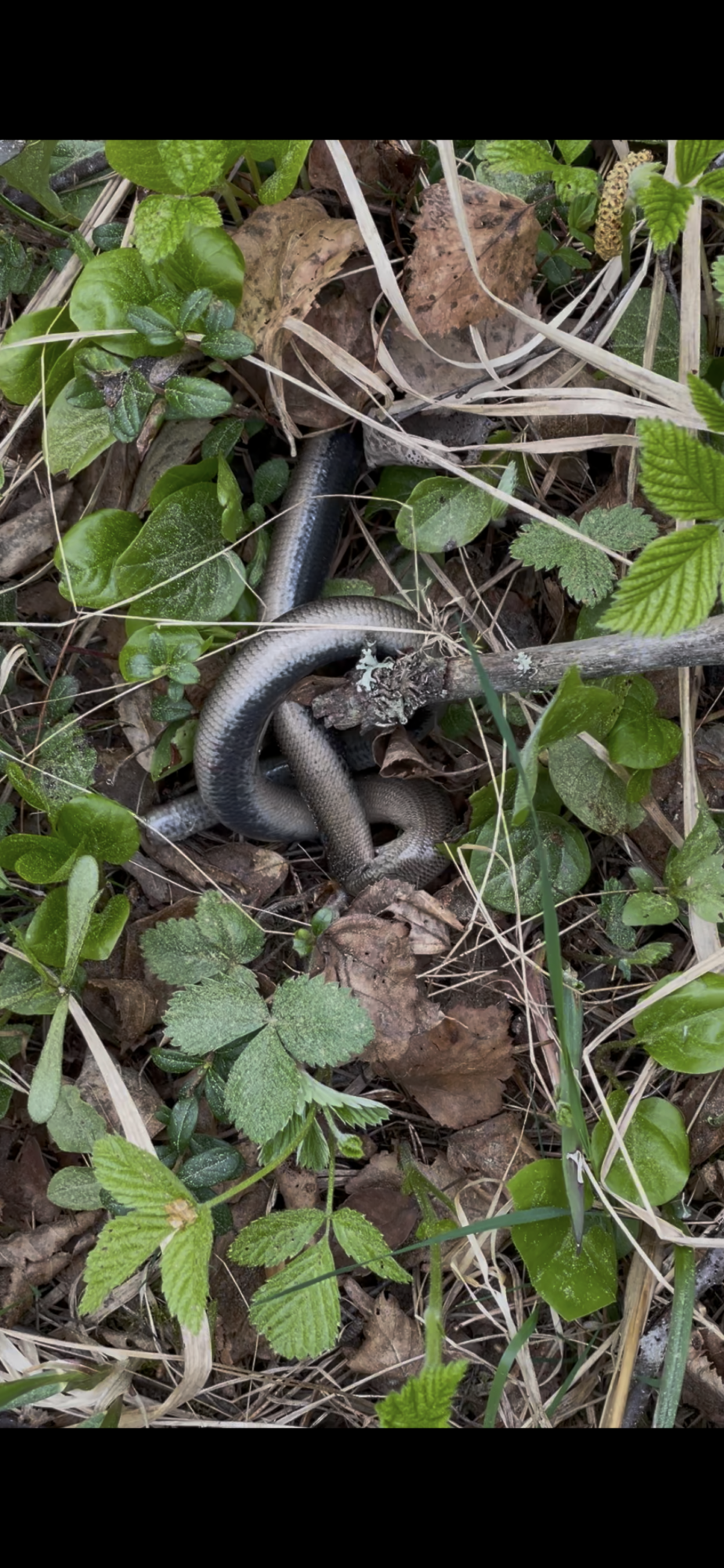 Valokuvaaja: Jessika Myyryläinen