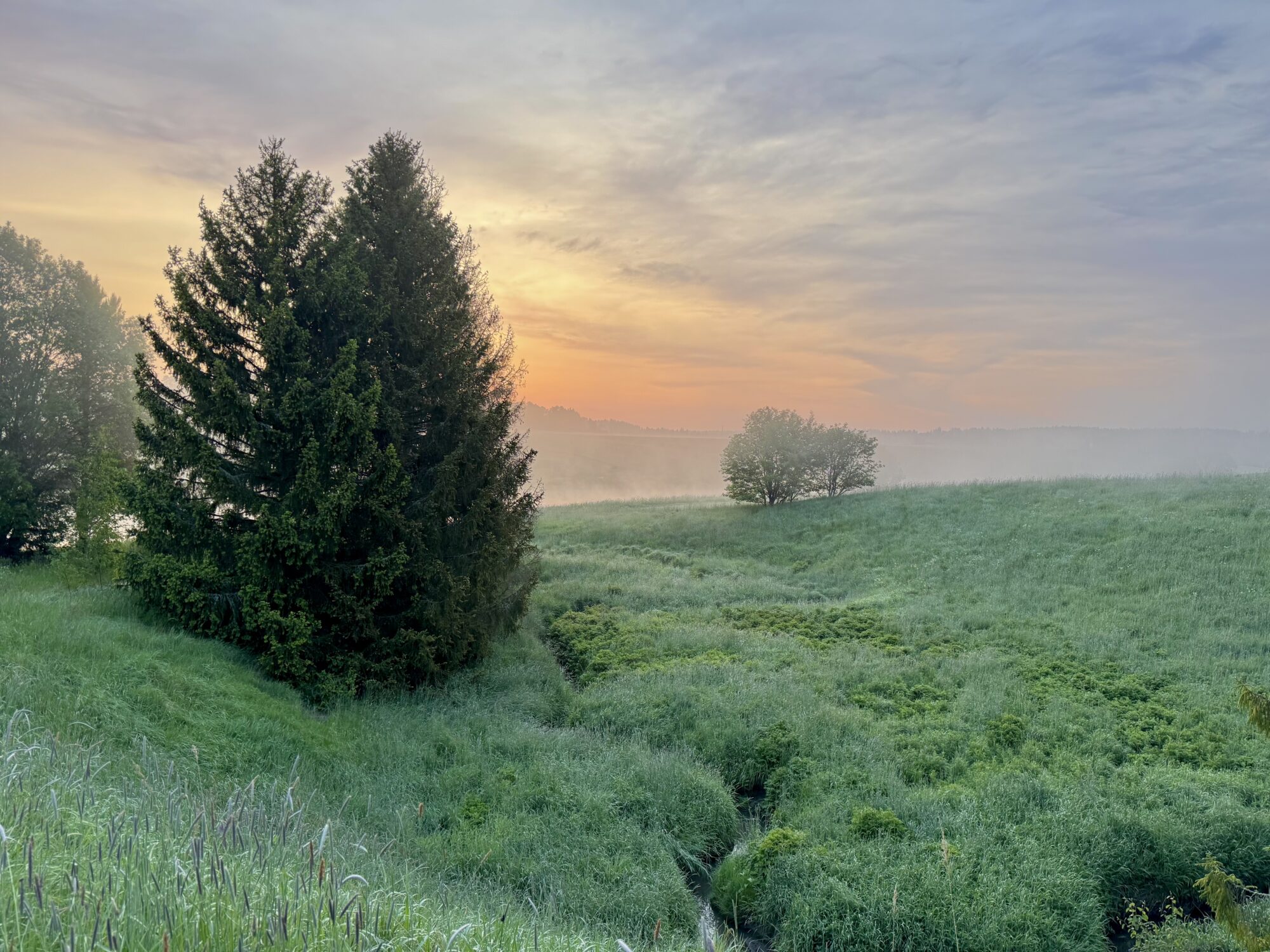 Valokuvaaja: Juhani Peltonen