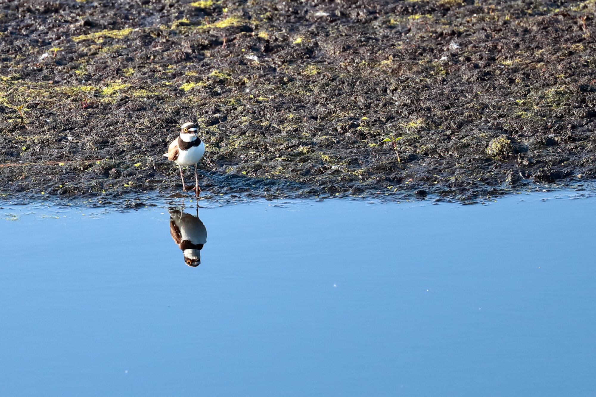 Valokuvaaja: Lasse Kokko