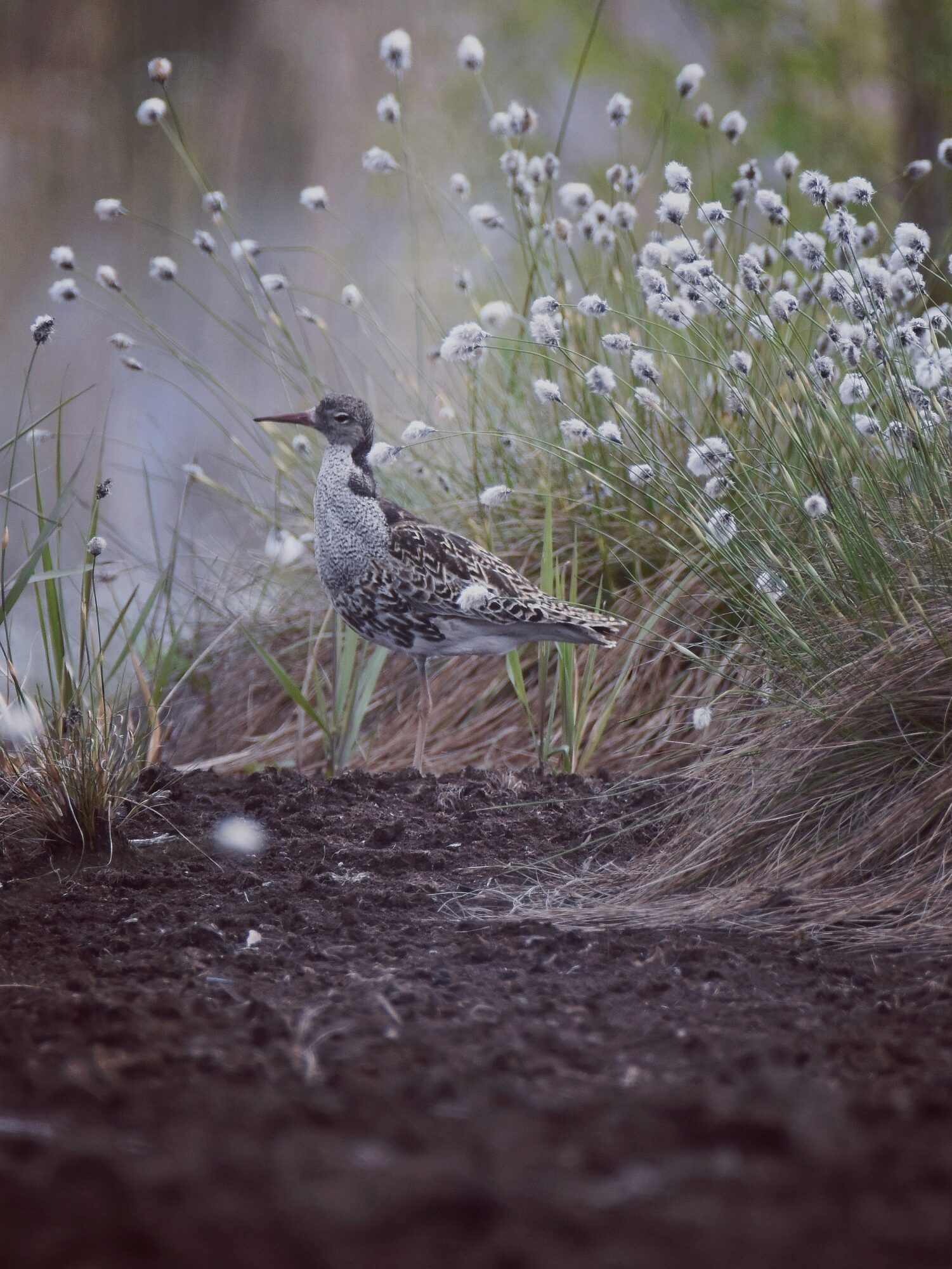 Valokuvaaja: Noora Reinikainen