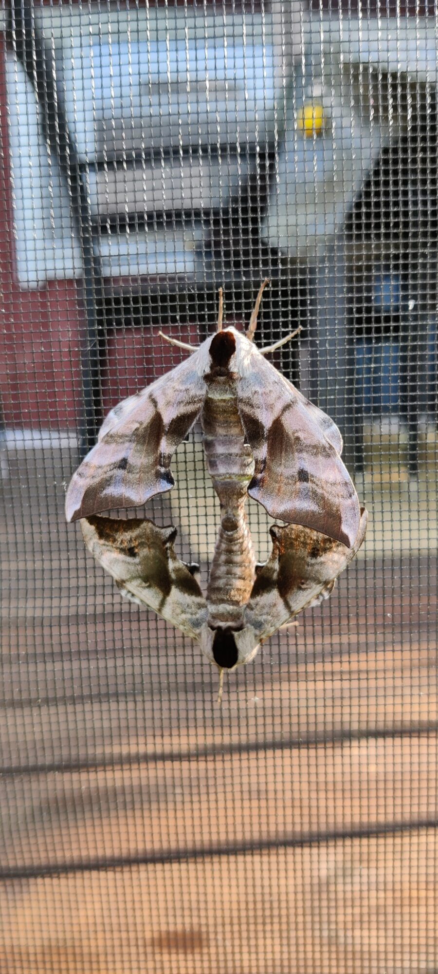 Valokuvaaja: Heikki Rajala