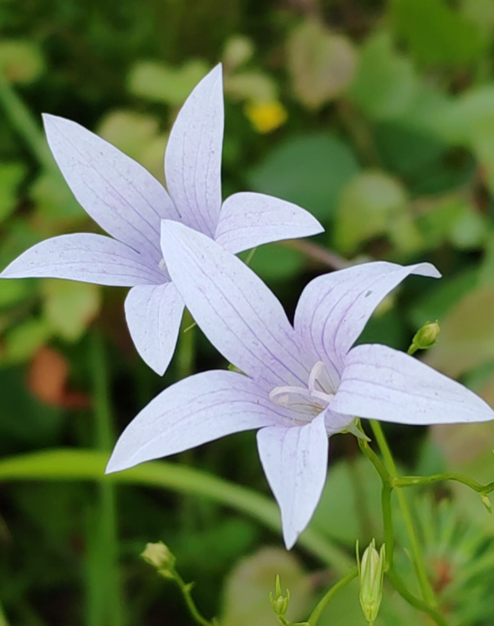 Valokuvaaja: Jukka Veijola