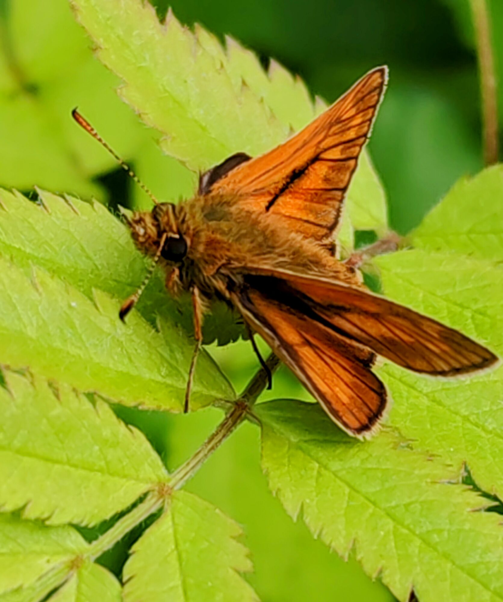 Valokuvaaja: Jukka Veijola