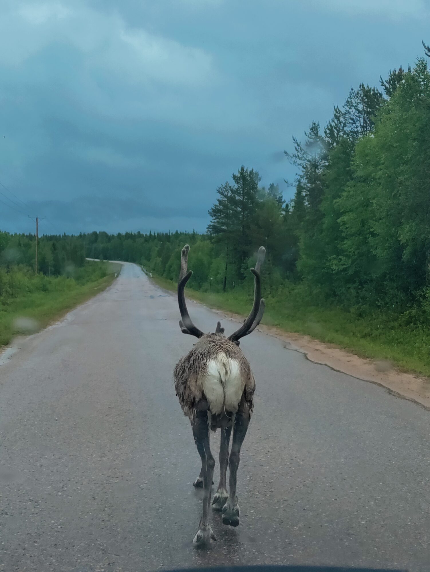 Valokuvaaja: Helena Sytelä Valokuvaaja: Helena Sytelä