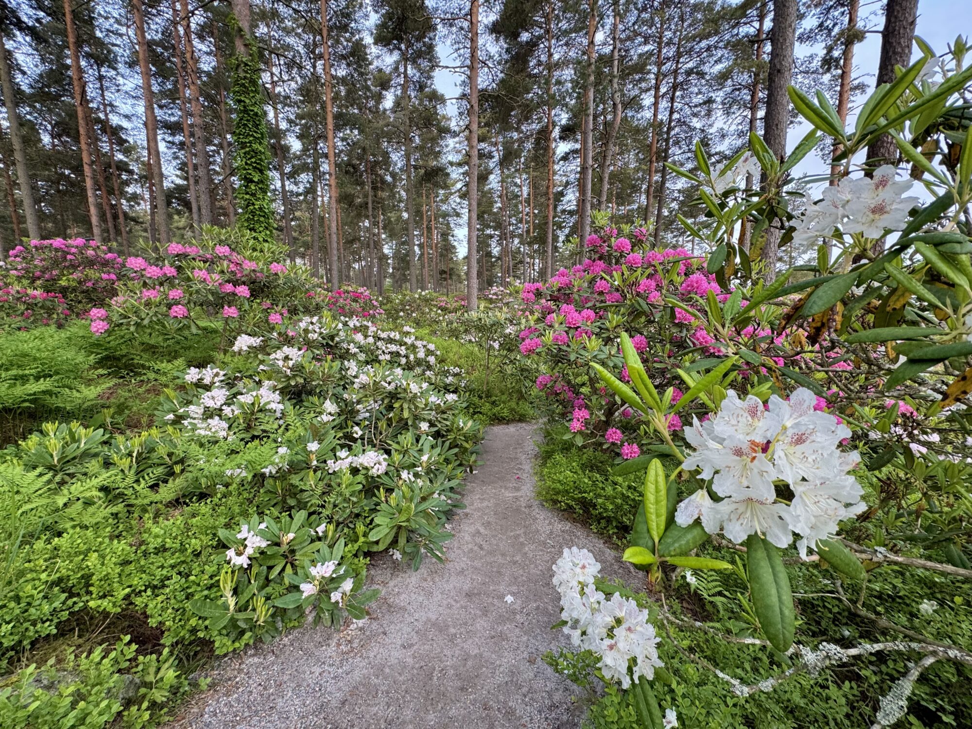 Valokuvaaja: Juhani Peltonen