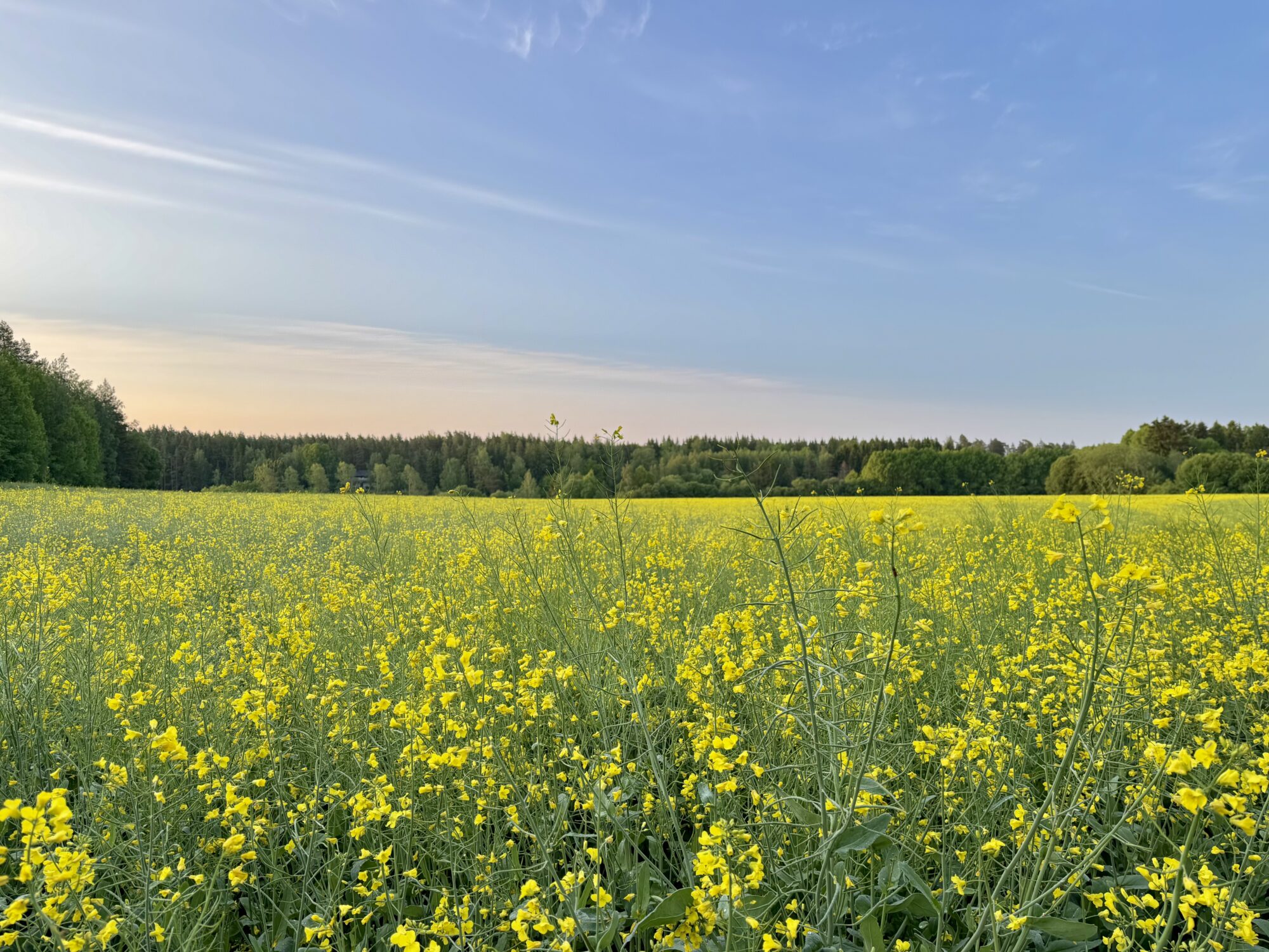 Valokuvaaja: Juhani Peltonen