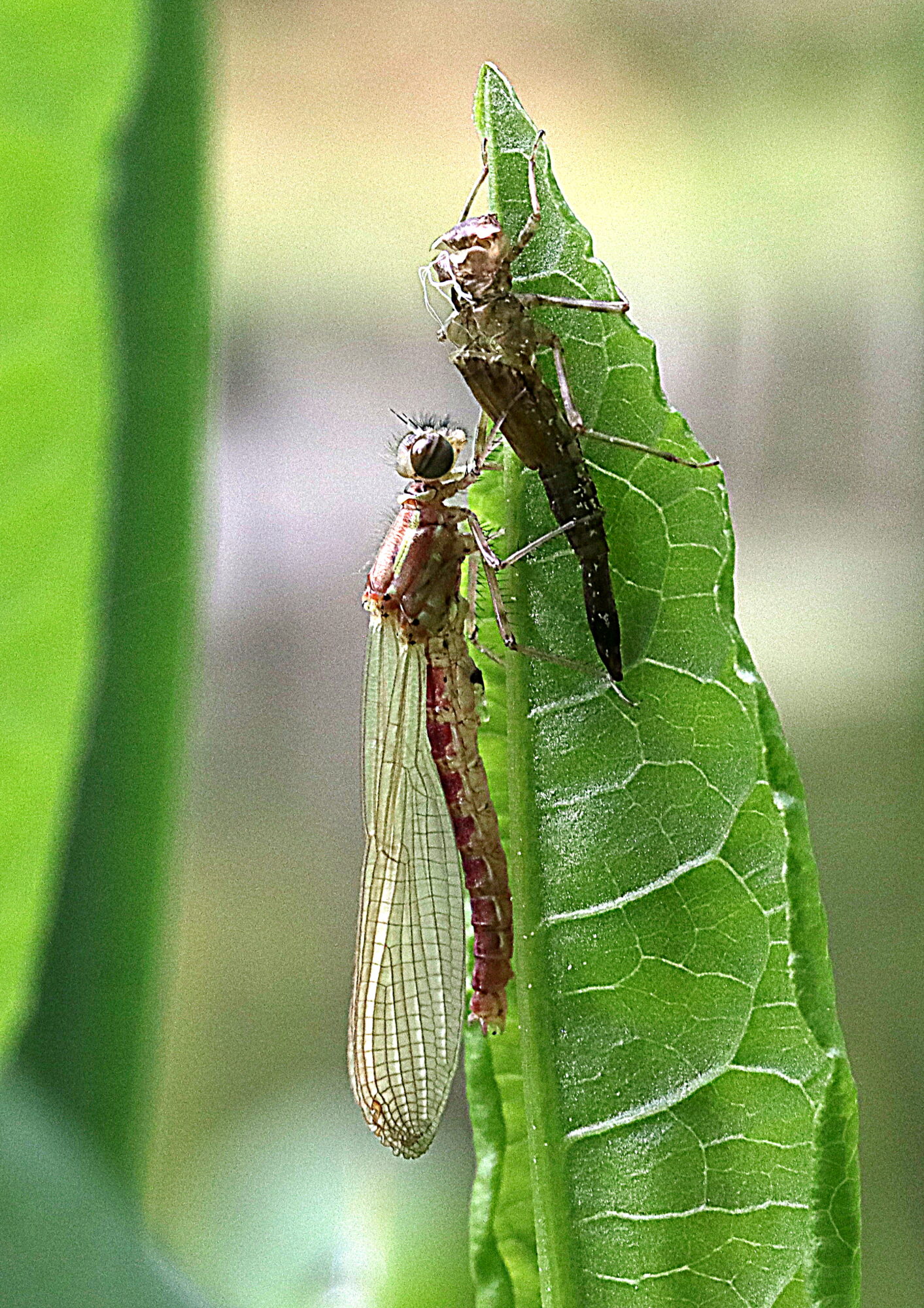Valokuvaaja: Hannu Rasiranta