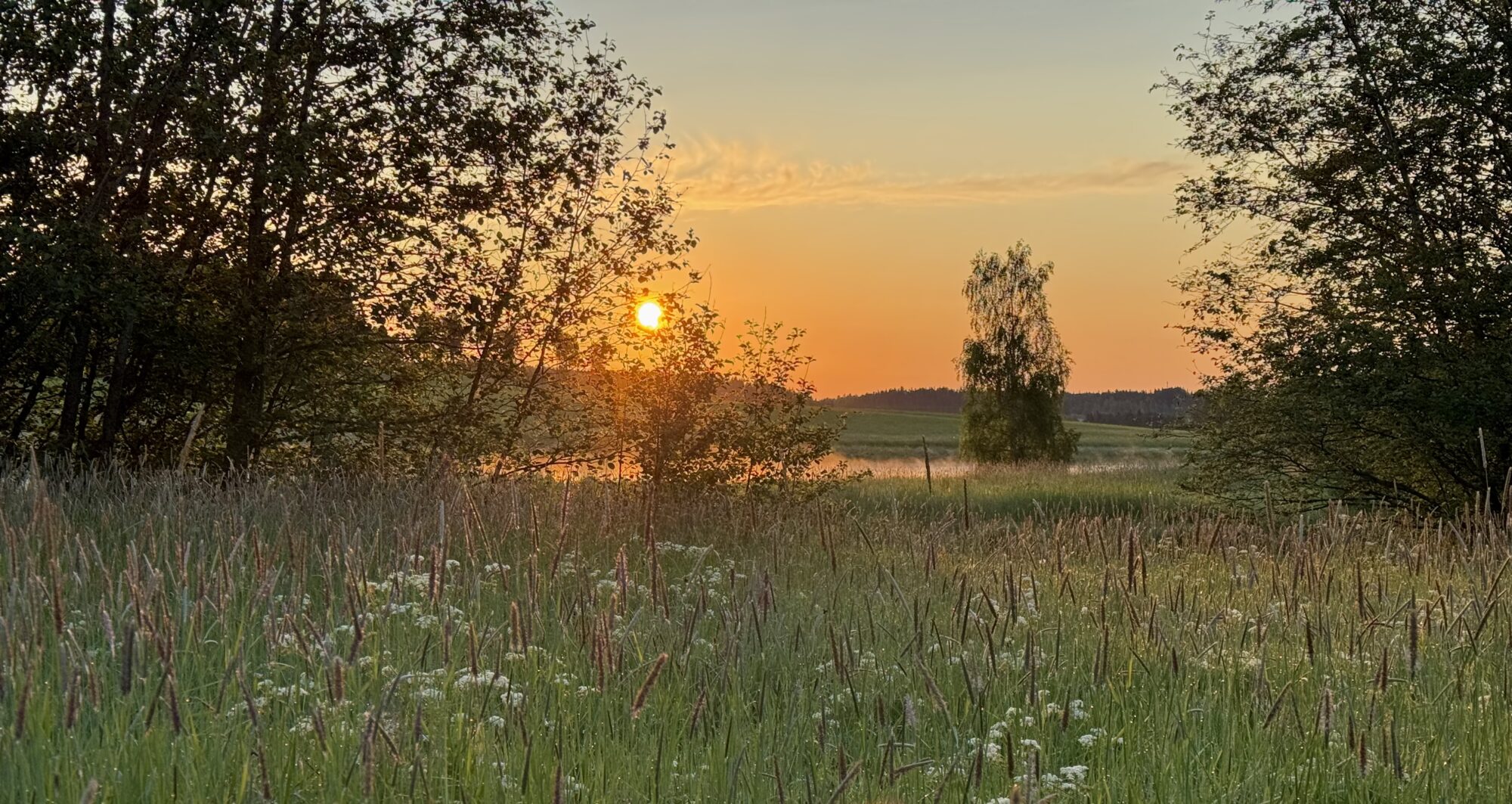 Valokuvaaja: Juhani Peltonen Valokuvaaja: Juhani Peltonen