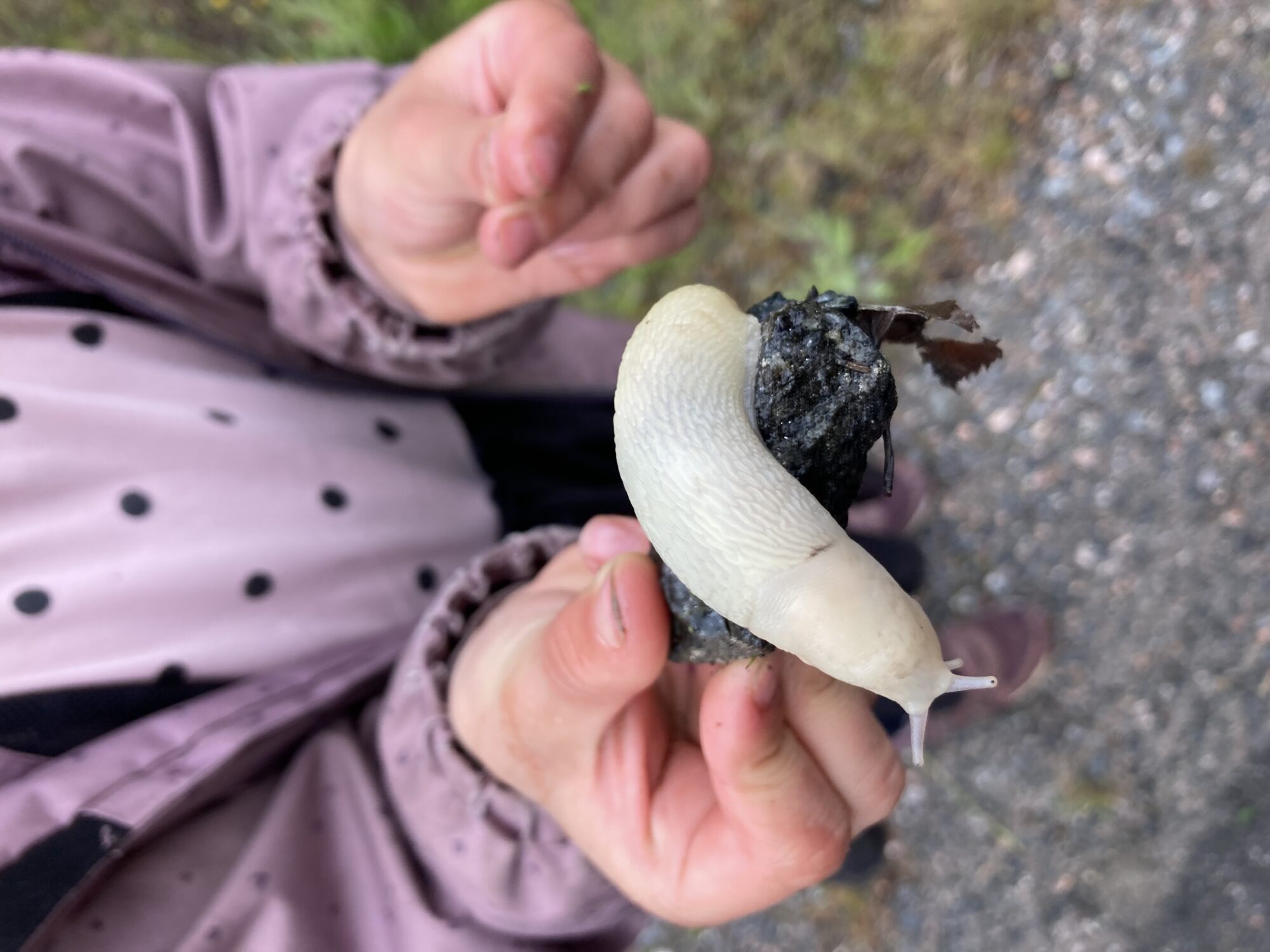 Valokuvaaja: Jenny Viita