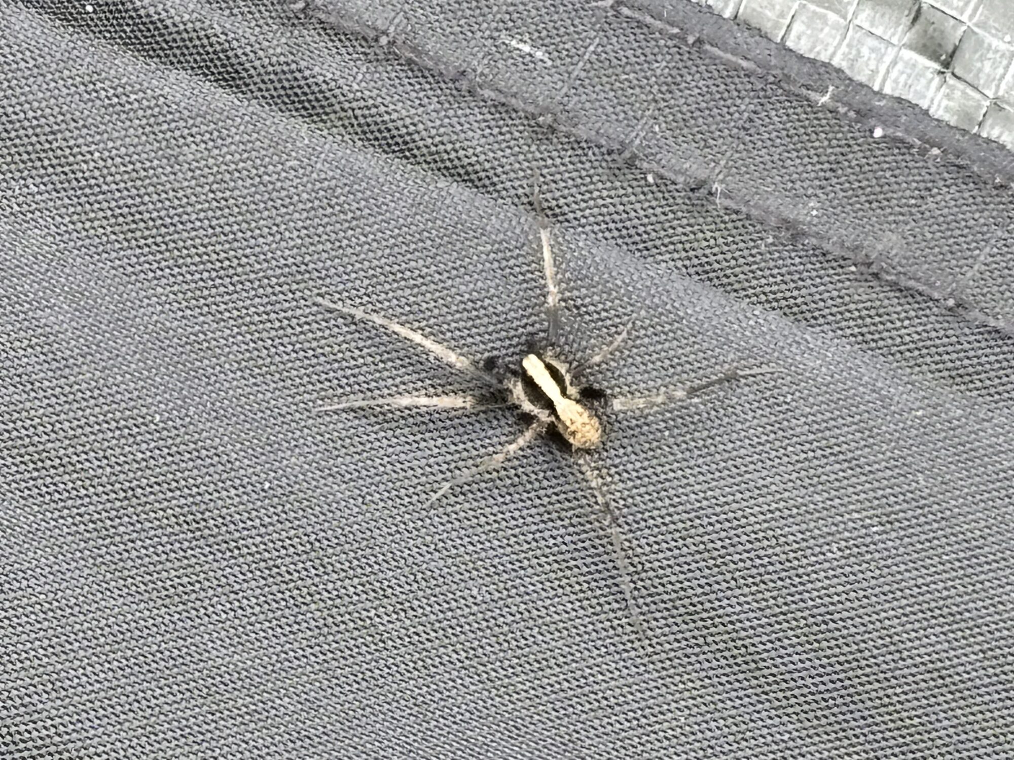 Valokuvaaja: Iina Alanko