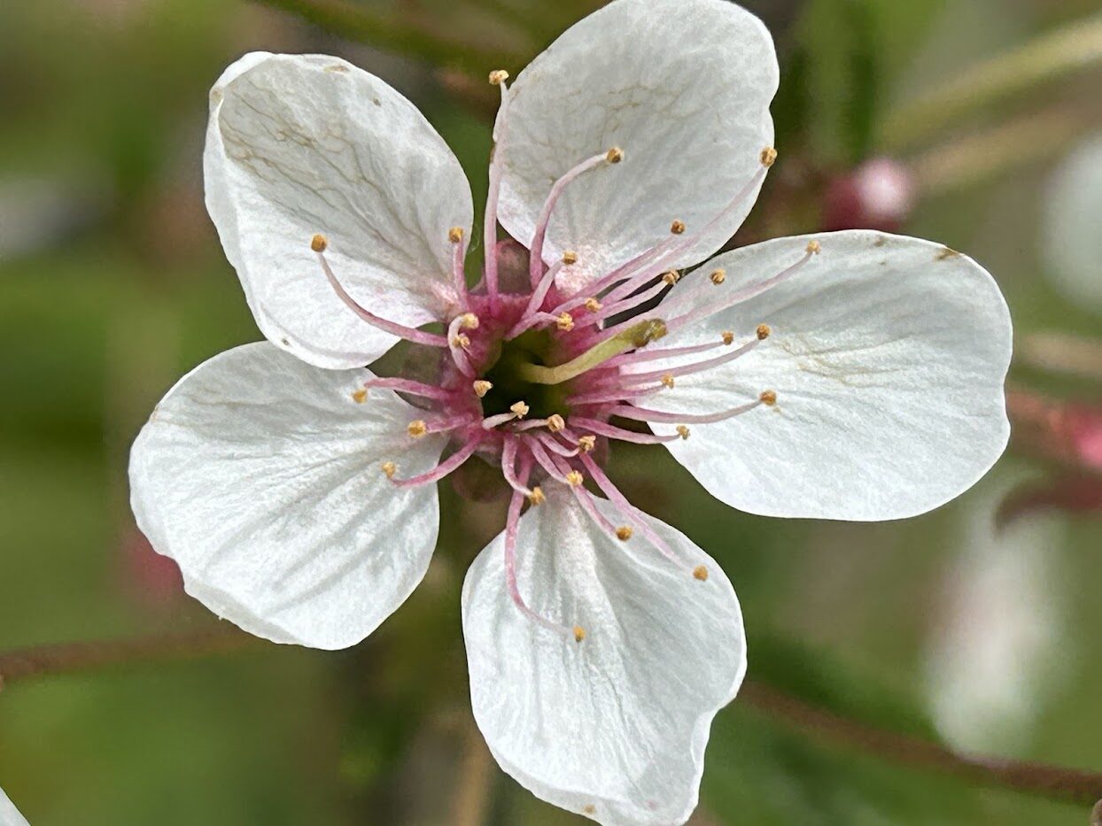 Valokuvaaja: tapio keinonen