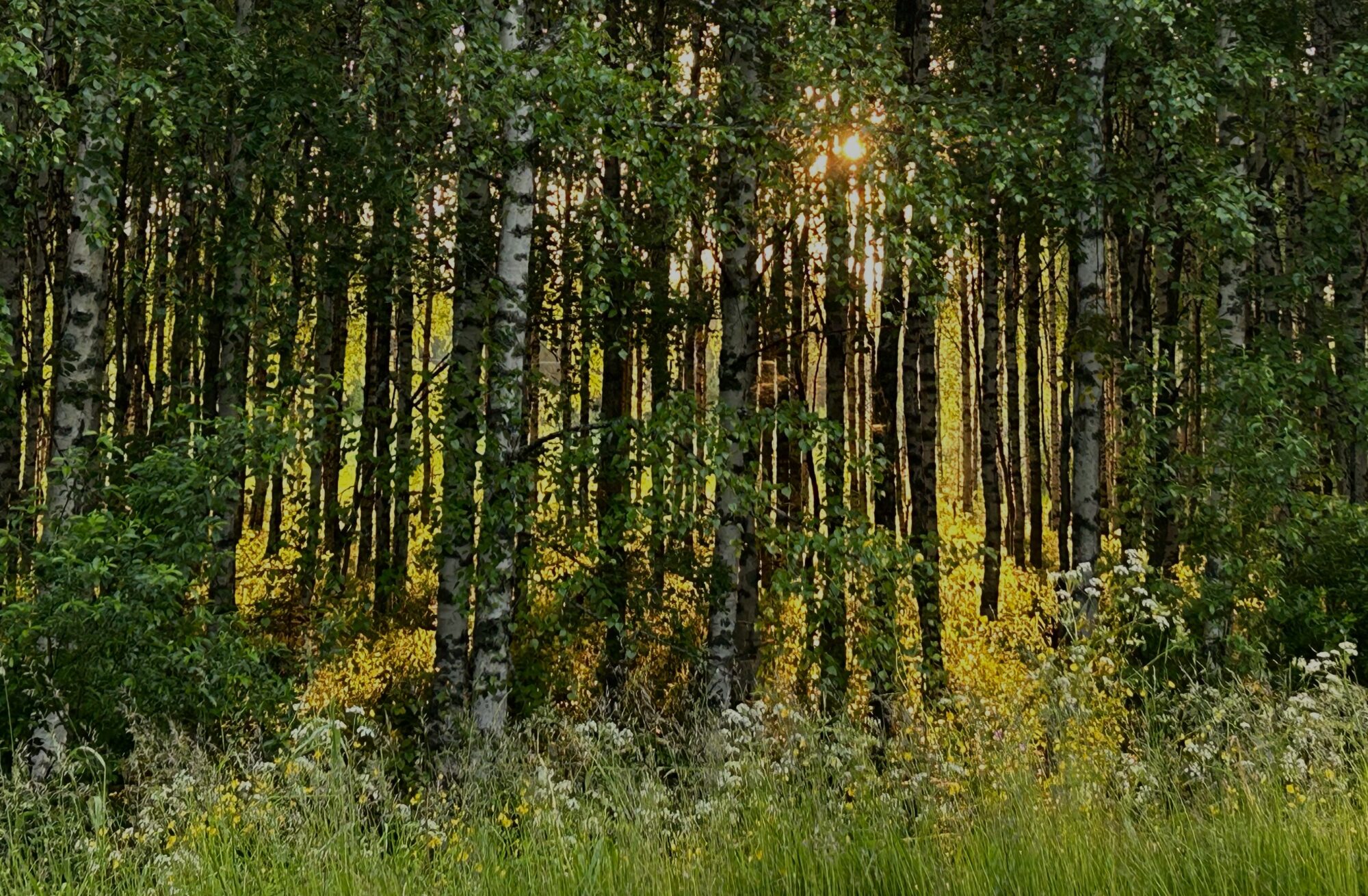 Valokuvaaja: Tapio Keinonen Valokuvaaja: Tapio Keinonen
