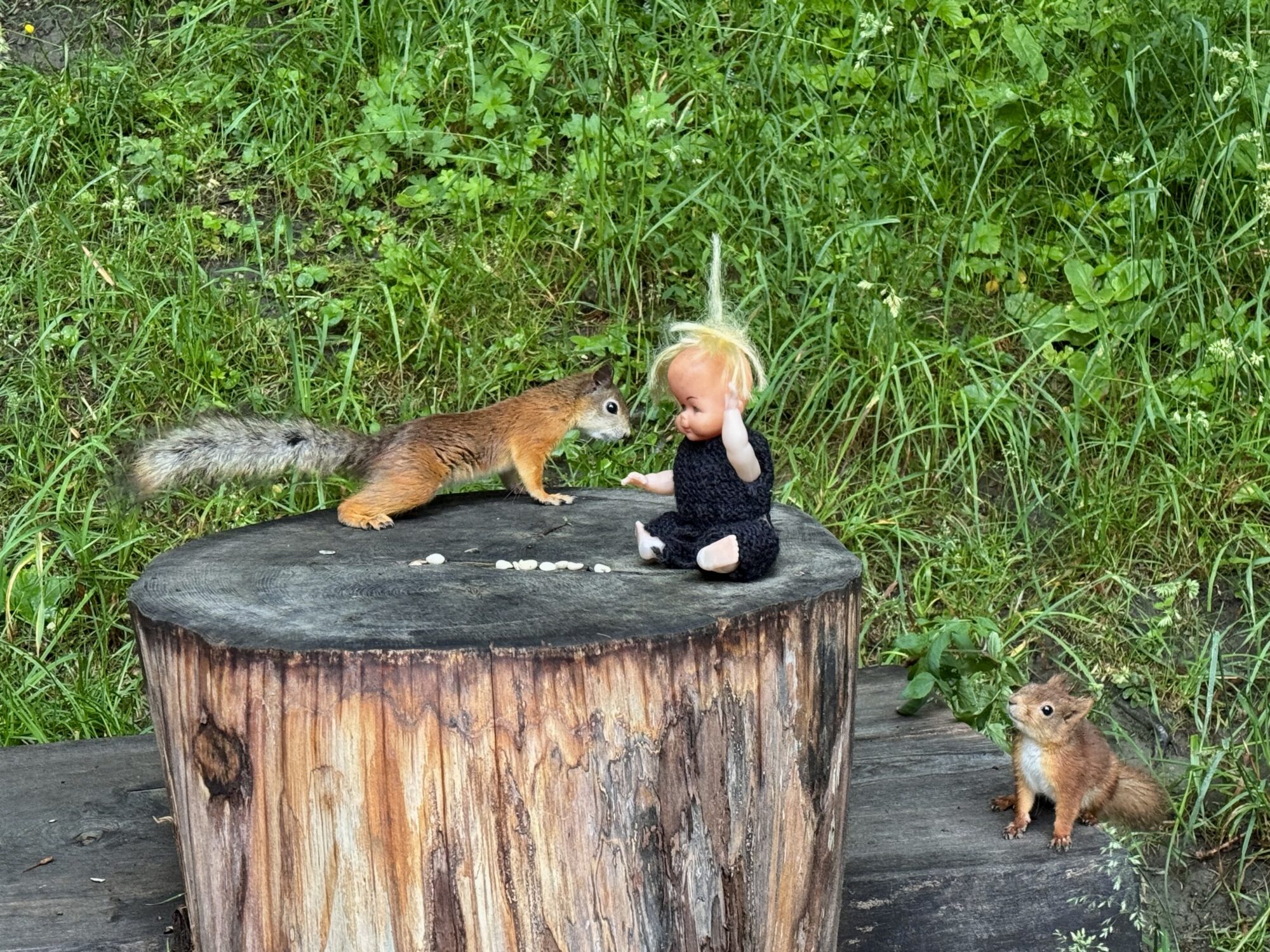 Valokuvaaja: Juhani Peltonen Valokuvaaja: Juhani Peltonen