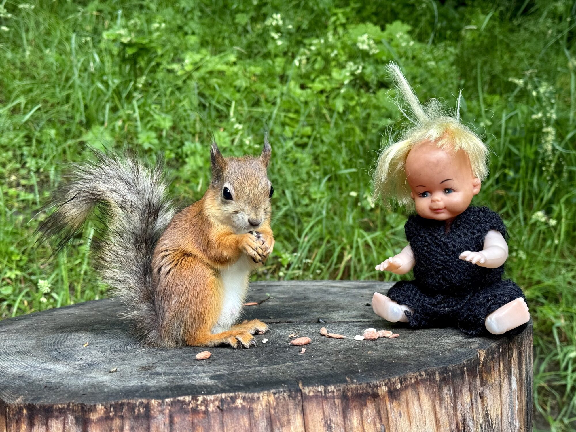 Valokuvaaja: Juhani Peltonen Valokuvaaja: Juhani Peltonen