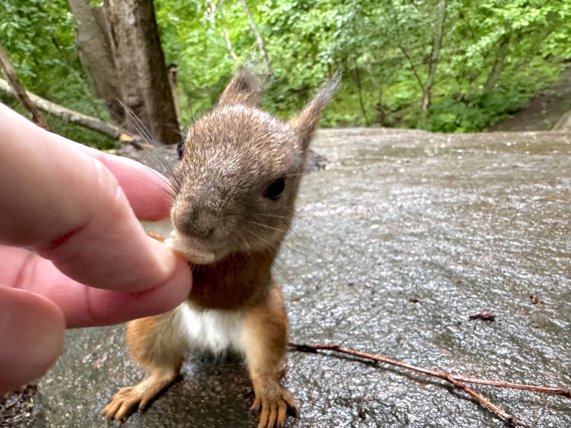 Valokuvaaja: Juhani Peltonen Valokuvaaja: Juhani Peltonen