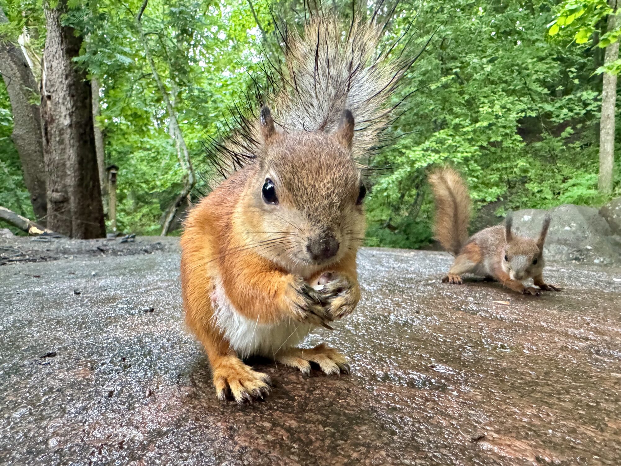 Valokuvaaja: Juhani Peltonen Valokuvaaja: Juhani Peltonen