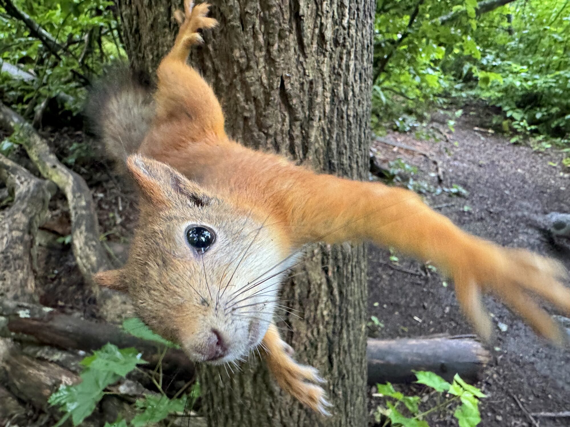 Valokuvaaja: Juhani Peltonen Valokuvaaja: Juhani Peltonen