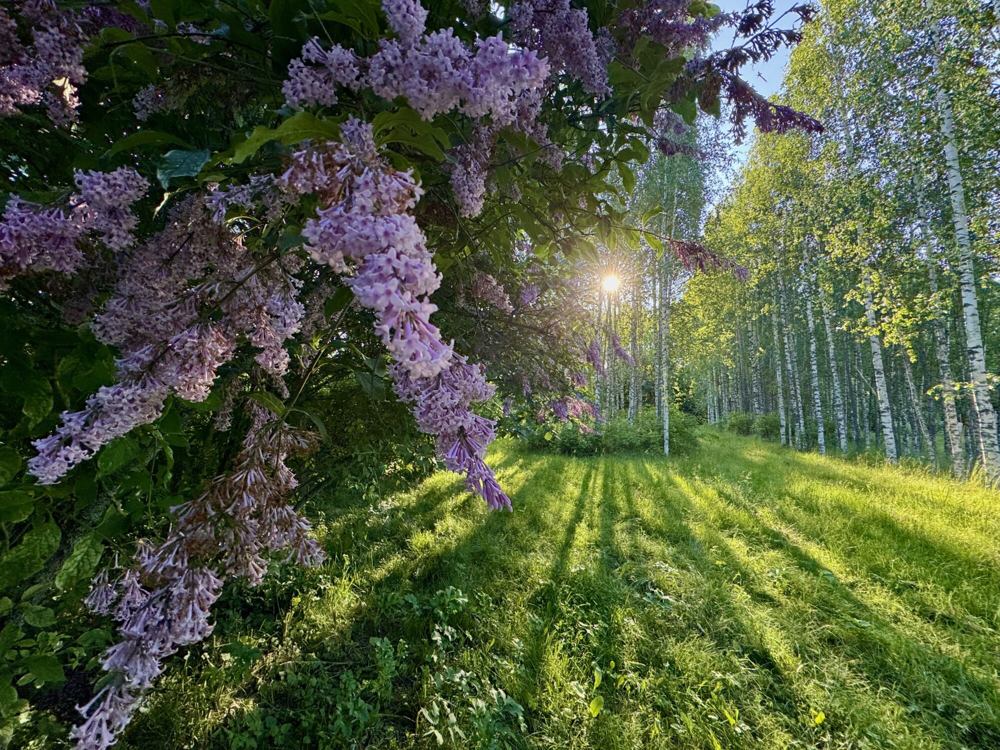 Valokuvaaja: Juhani Peltonen Valokuvaaja: Juhani Peltonen