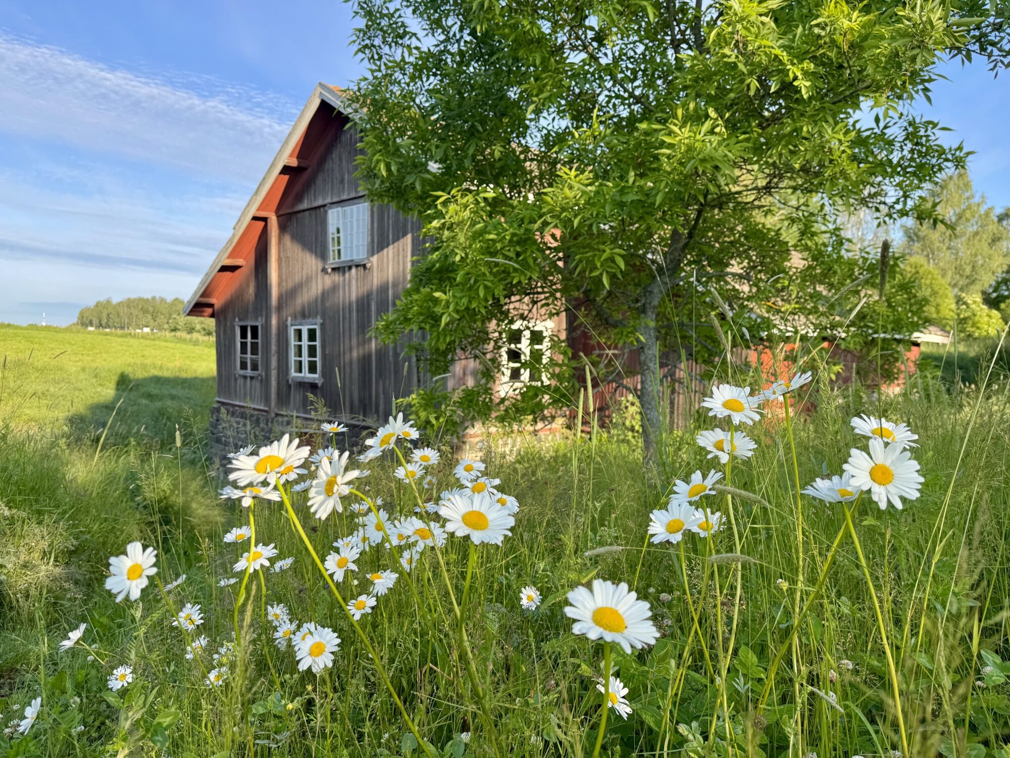 Valokuvaaja: Juhani Peltonen Valokuvaaja: Juhani Peltonen