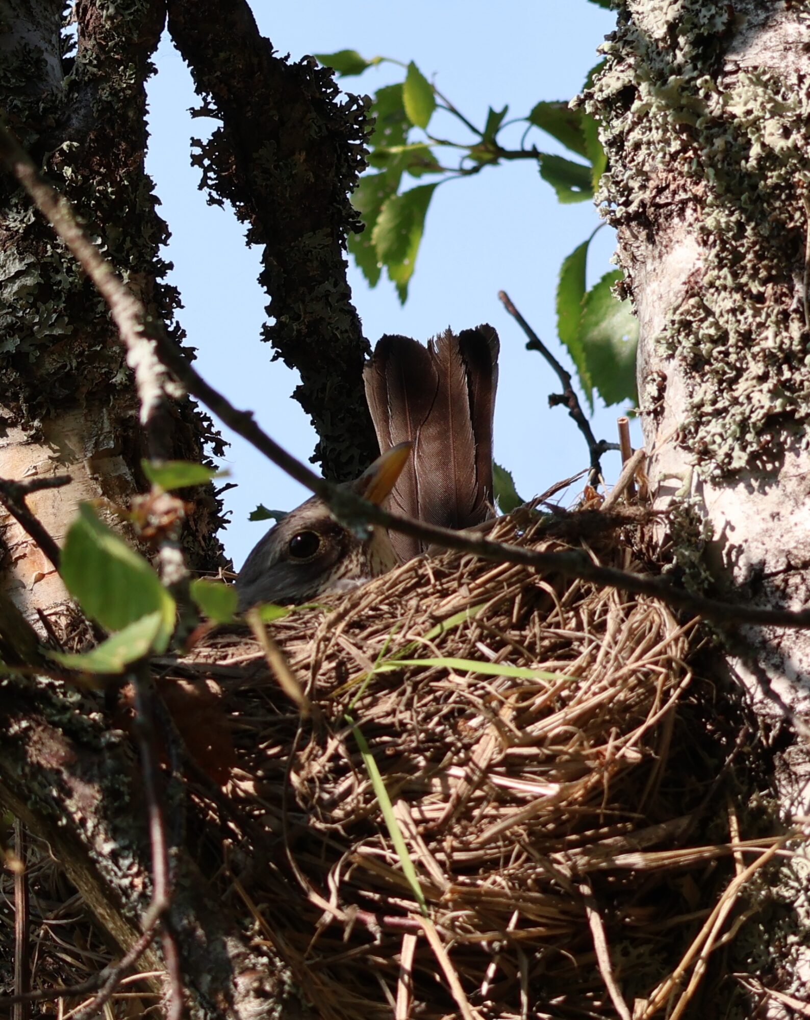 Valokuvaaja: Hanna Rönty