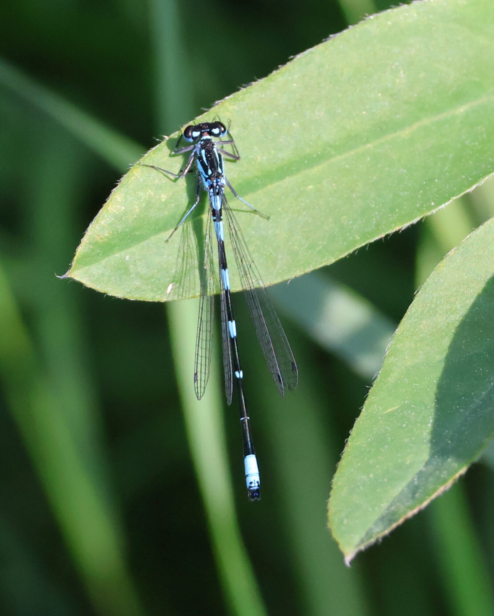 Valokuvaaja: Hanna Rönty