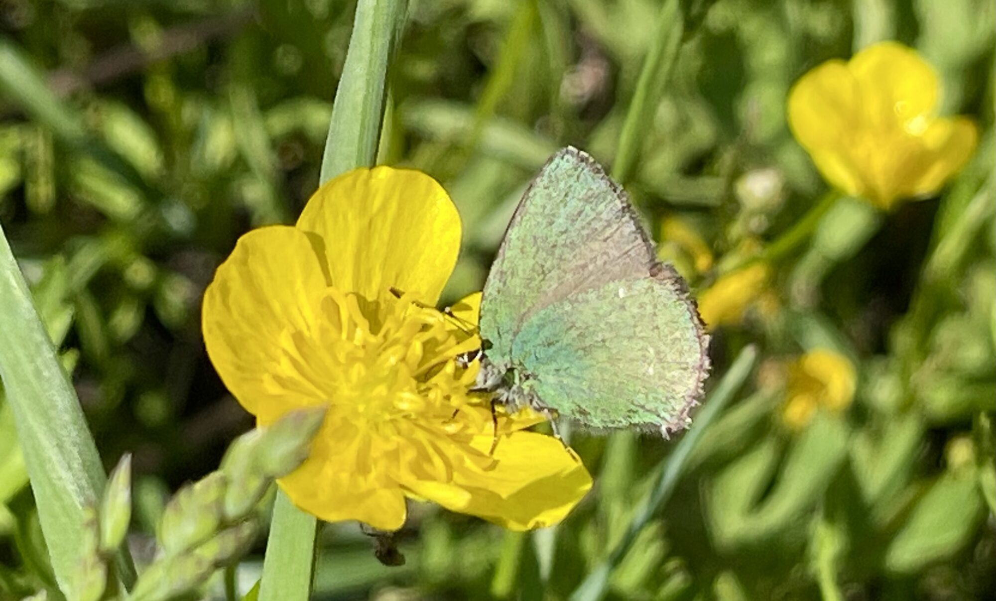 Valokuvaaja: Liisa Niiva-Korpela