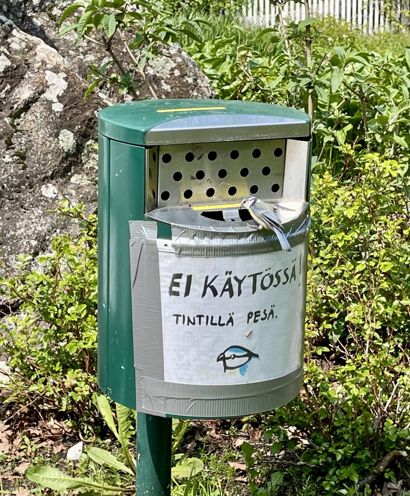 Valokuvaaja: Liisa Niiva-Korpela