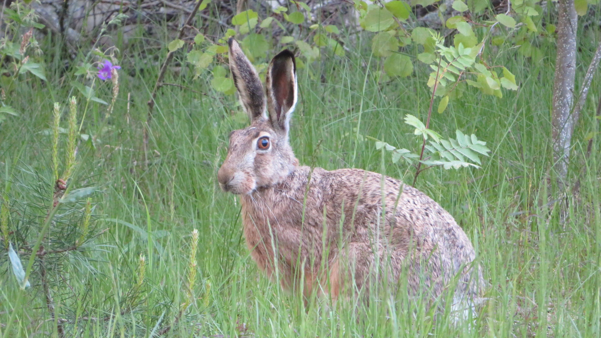 Valokuvaaja: Risto Kangassalo