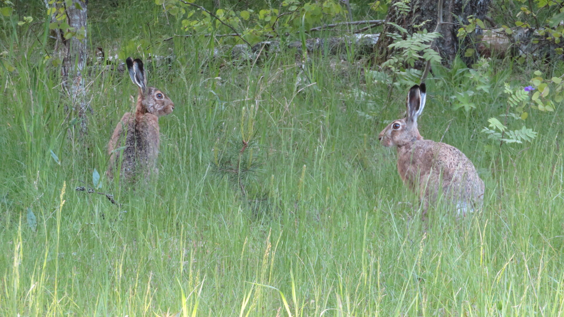 Valokuvaaja: Risto Kangassalo