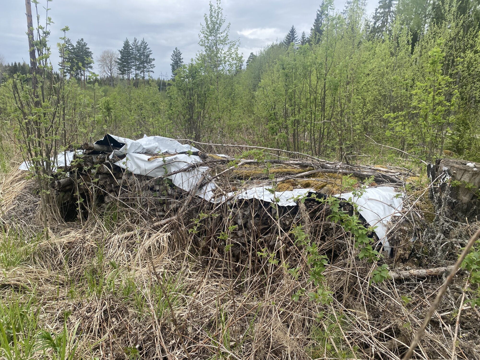 Valokuvaaja: Markku Ranta-Eilola